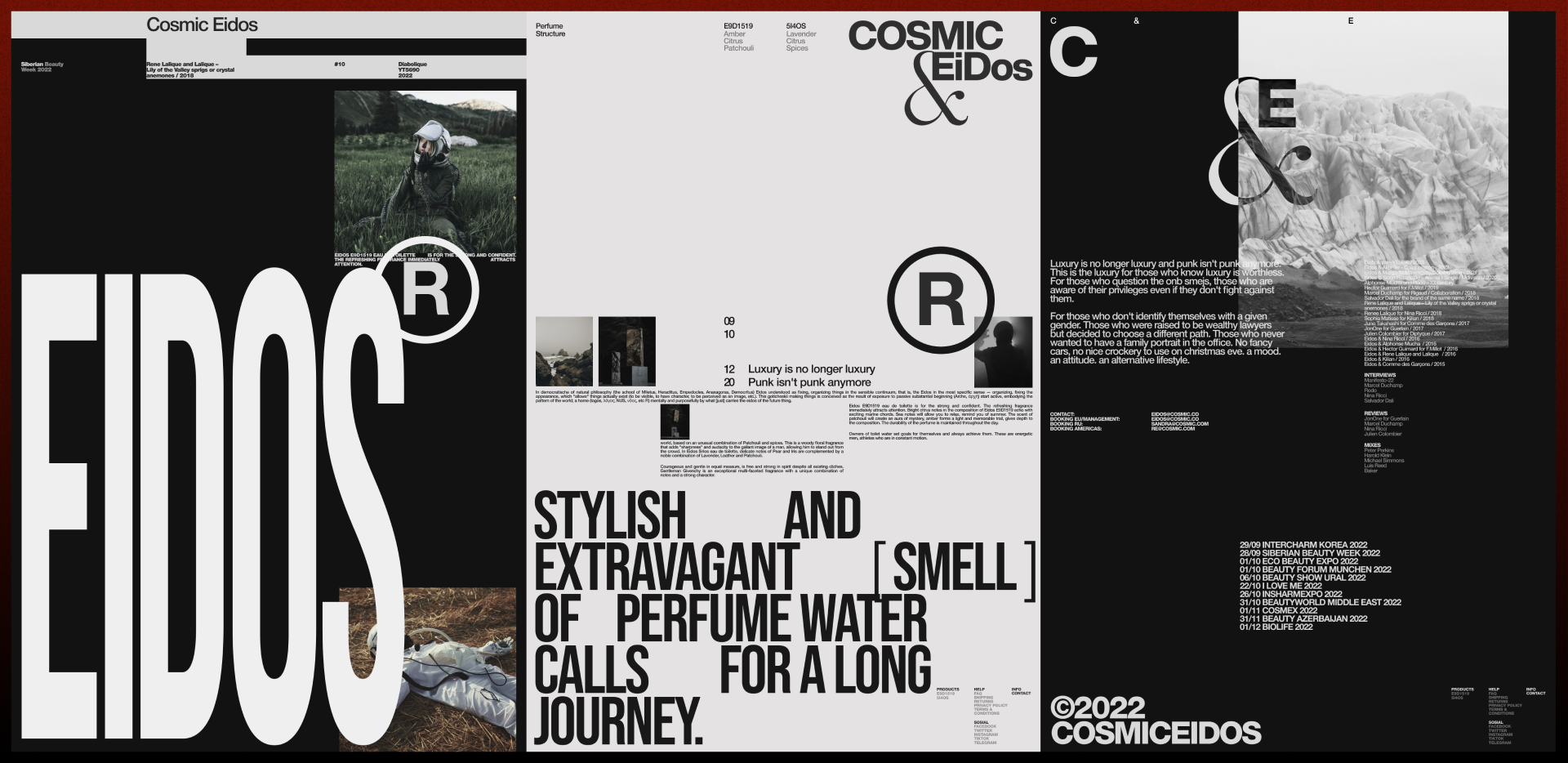 CosmicEidos — Изображение №6 — Интерфейсы, Брендинг на Dprofile