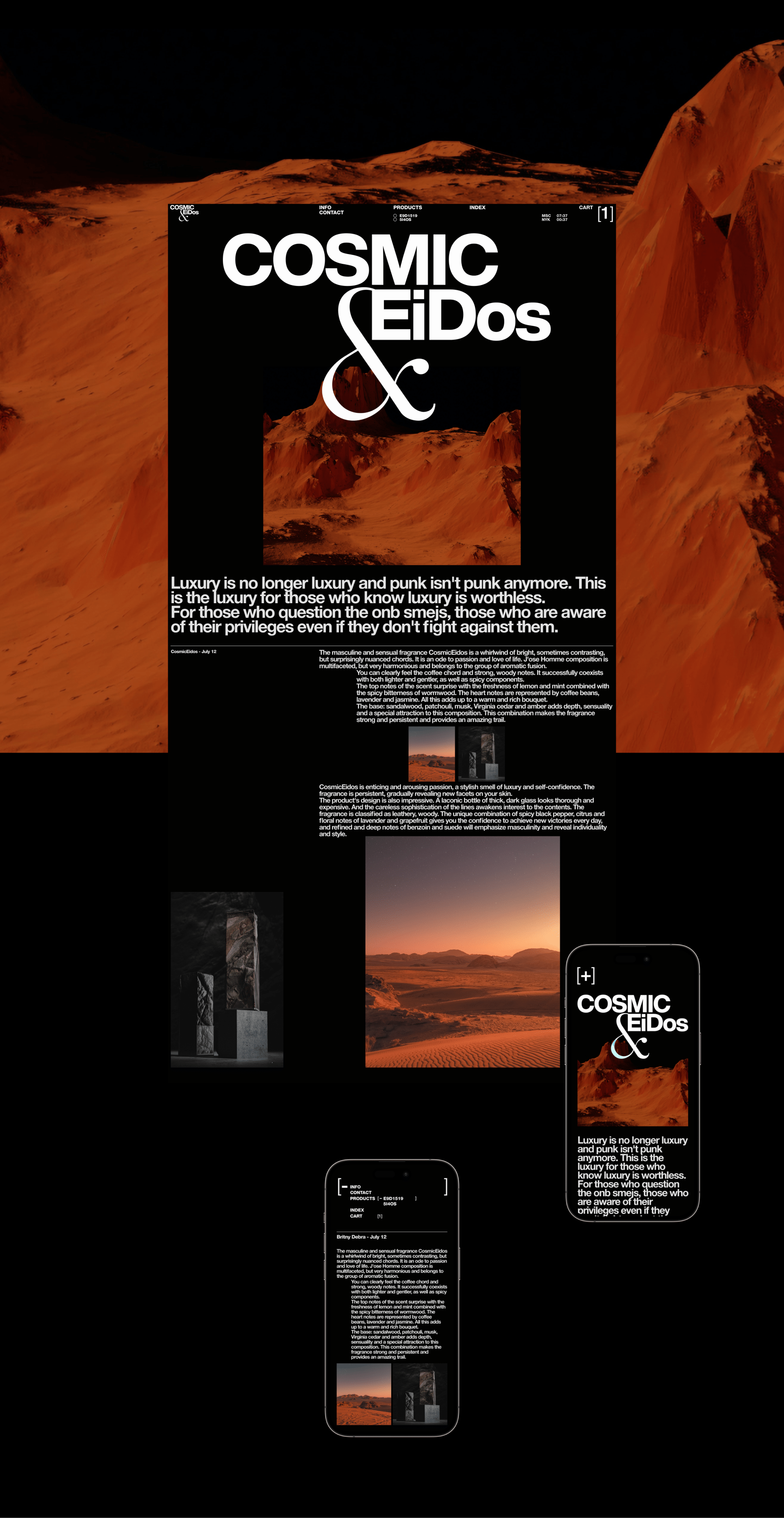 CosmicEidos — Изображение №15 — Интерфейсы, Брендинг на Dprofile