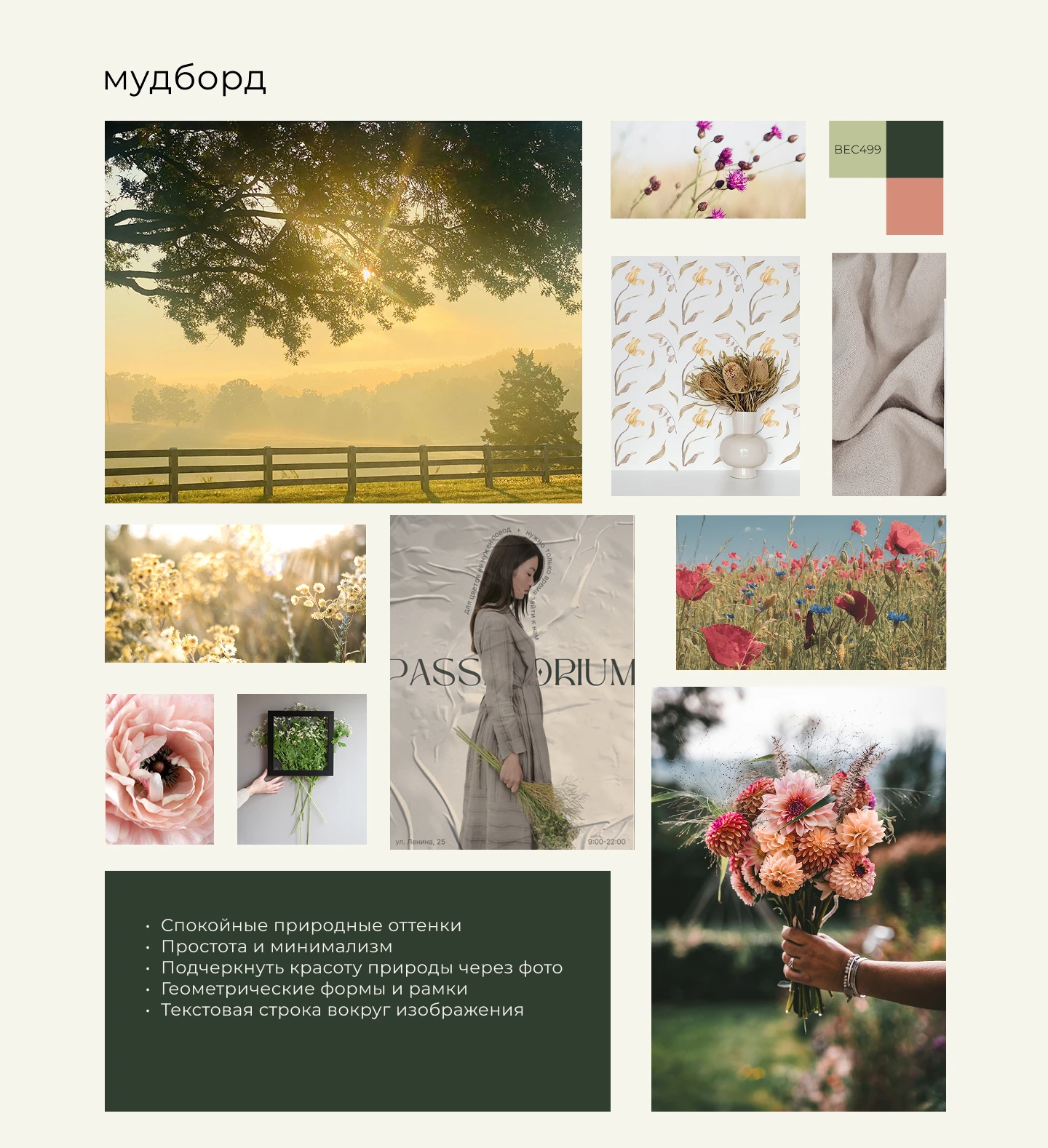 Соцсети и веб-банеры для цветочной фермы — Изображение №2 — Маркетинг на Dprofile