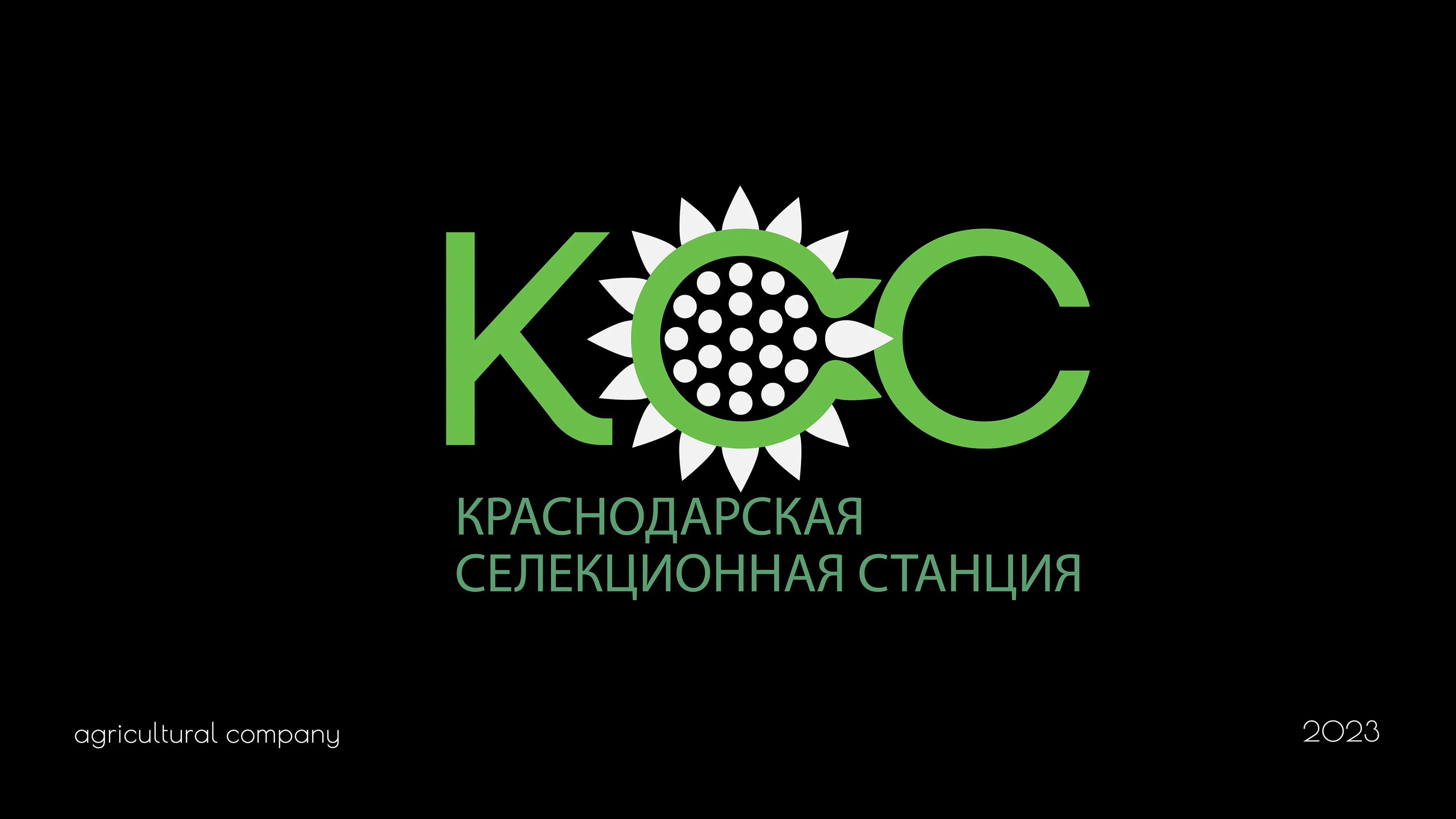 LOGOFOLIO 2023-224 — Изображение №4 — Брендинг на Dprofile