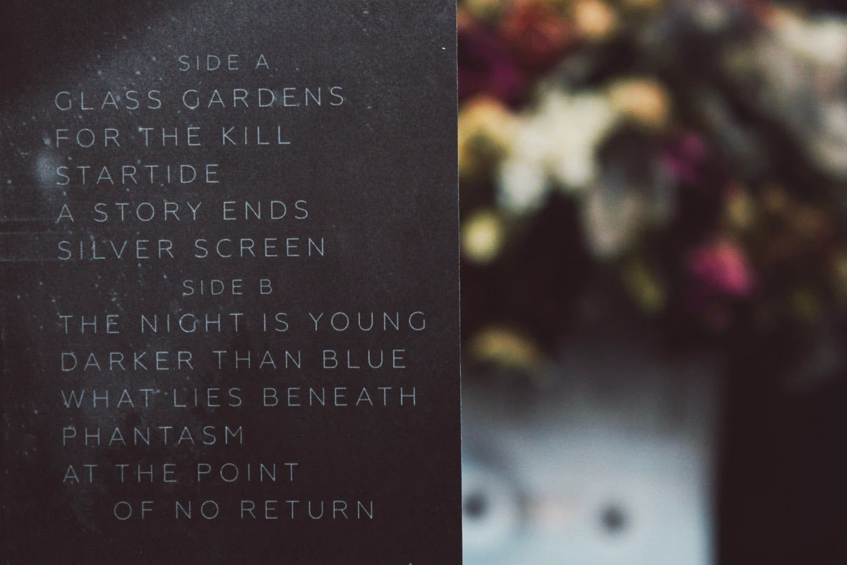 Life on Venus | vinyl cover — Изображение №3 — Графика на Dprofile