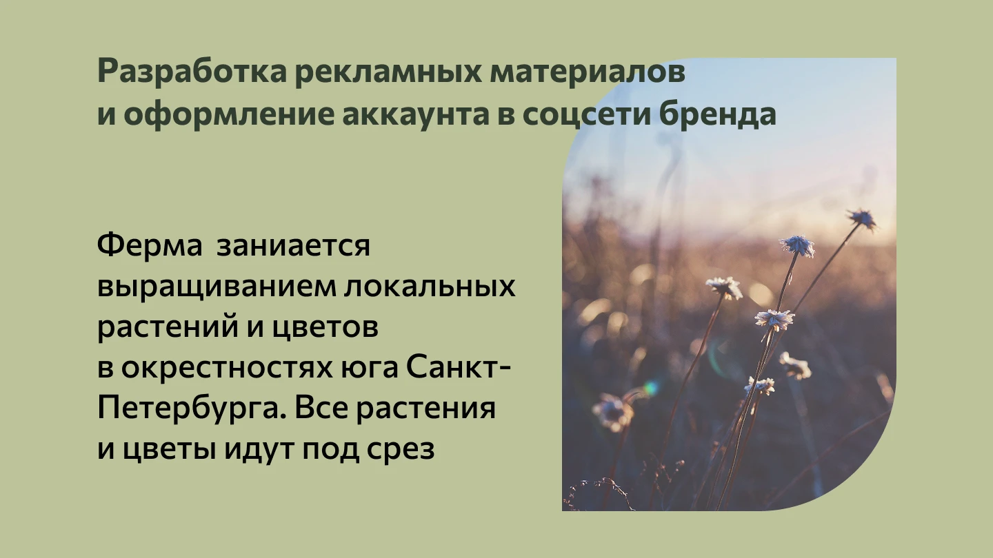 Дизайн рекламных материалов и оформление аккаунта — Изображение №2 — Маркетинг на Dprofile