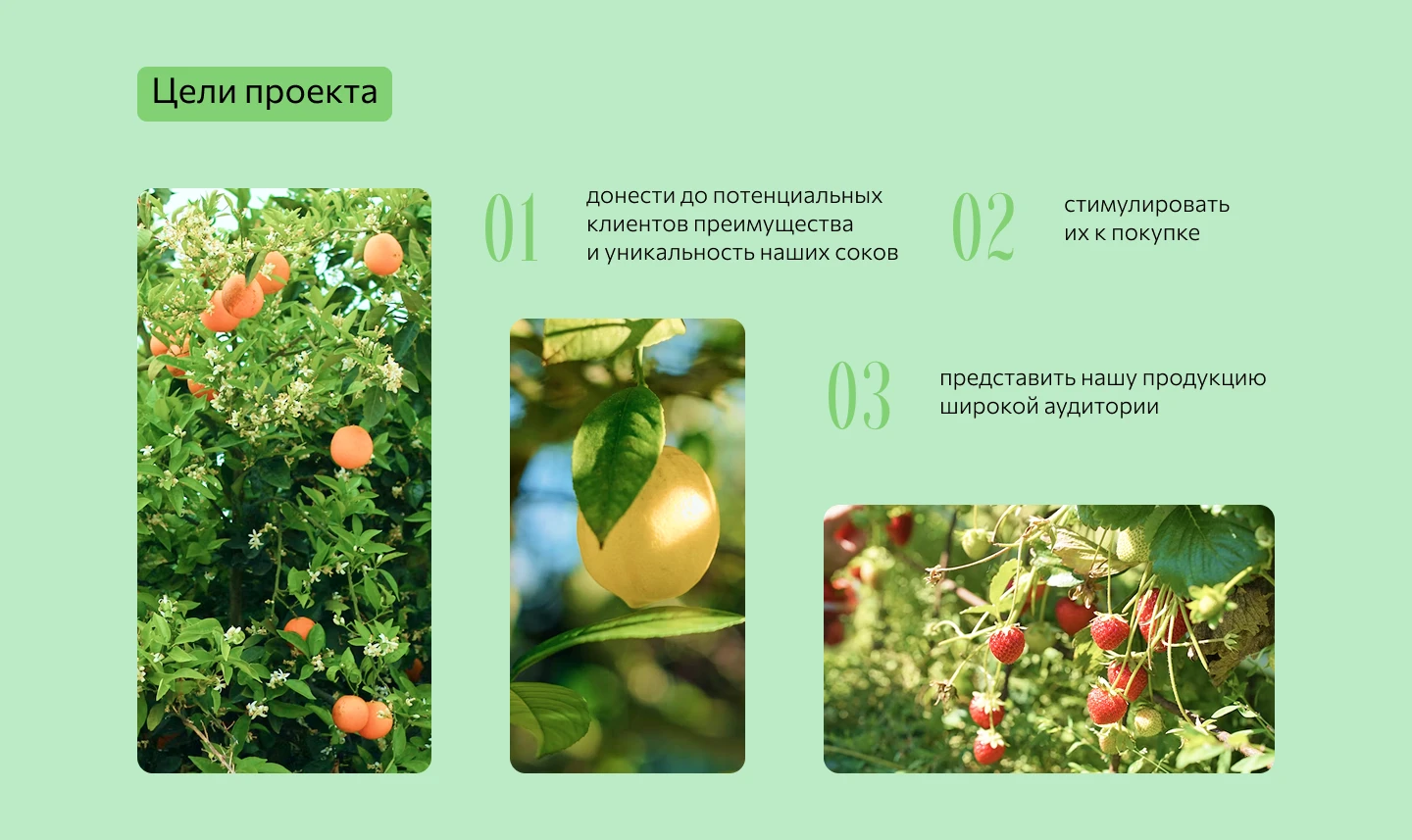 Лендинг для FruitEco — Изображение №2 — Интерфейсы на Dprofile