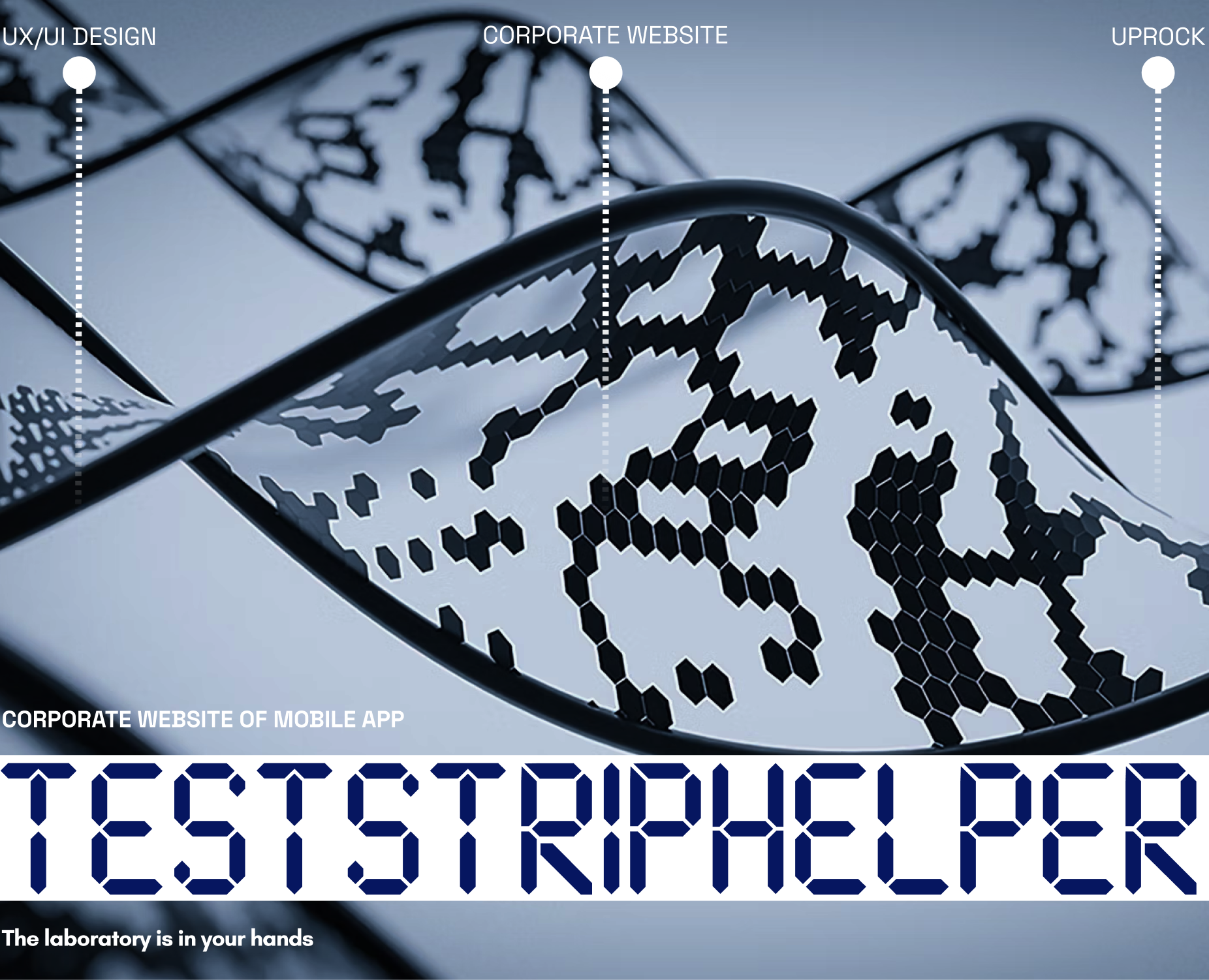 Corporate website of mobile app TestStripHelper — Интерфейсы на Dprofile