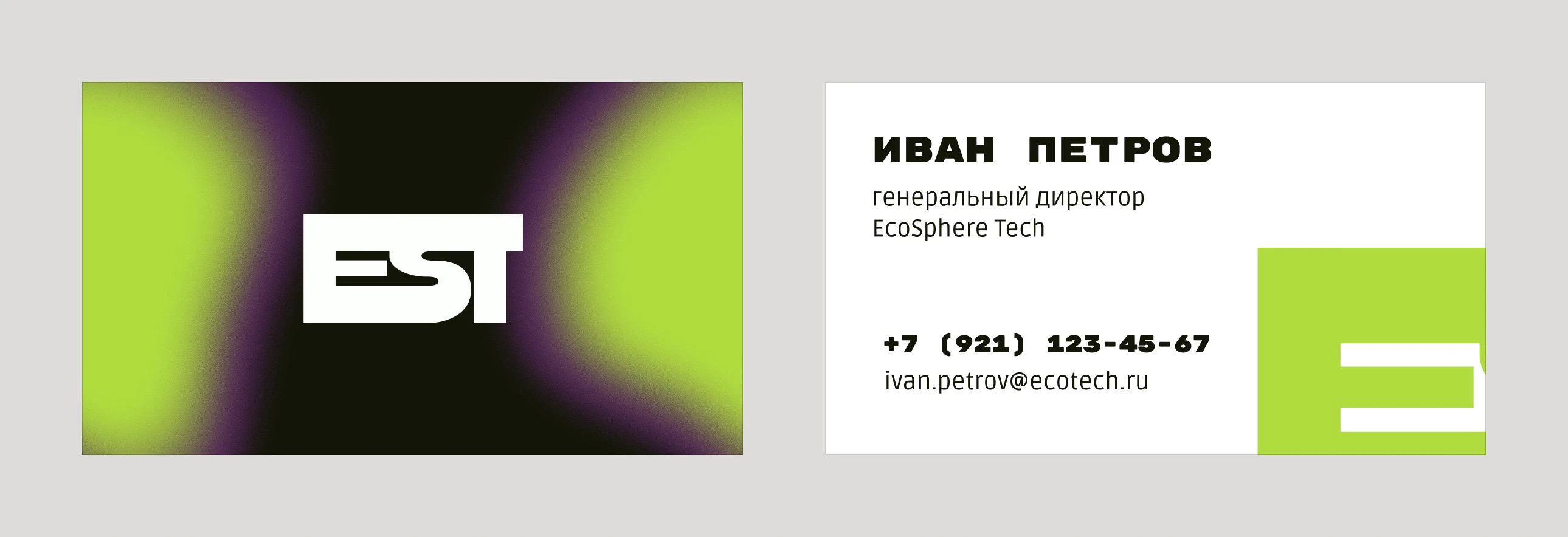 Визитка и логотип EcoSphere Tech — Изображение №5 — Графика, Маркетинг на Dprofile