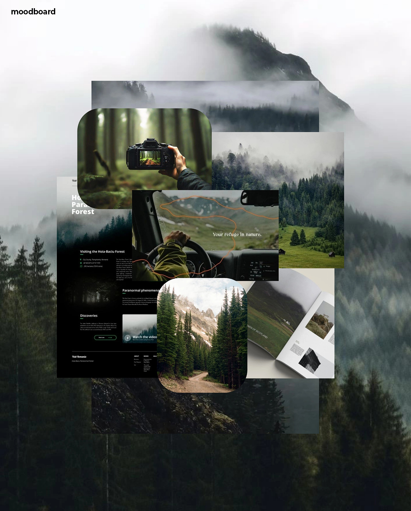 ФОТОТУР В РУМЫНИЮ // WEBSITE, LOGO, MERCH — Изображение №3 — Интерфейсы, Брендинг на Dprofile