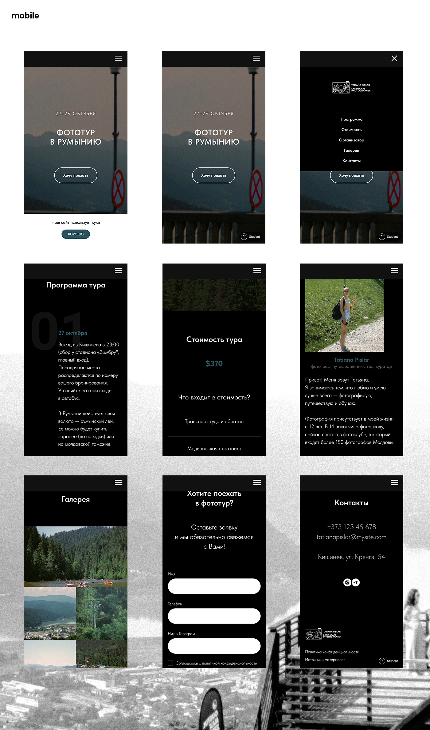 ФОТОТУР В РУМЫНИЮ // WEBSITE, LOGO, MERCH — Изображение №6 — Интерфейсы, Брендинг на Dprofile