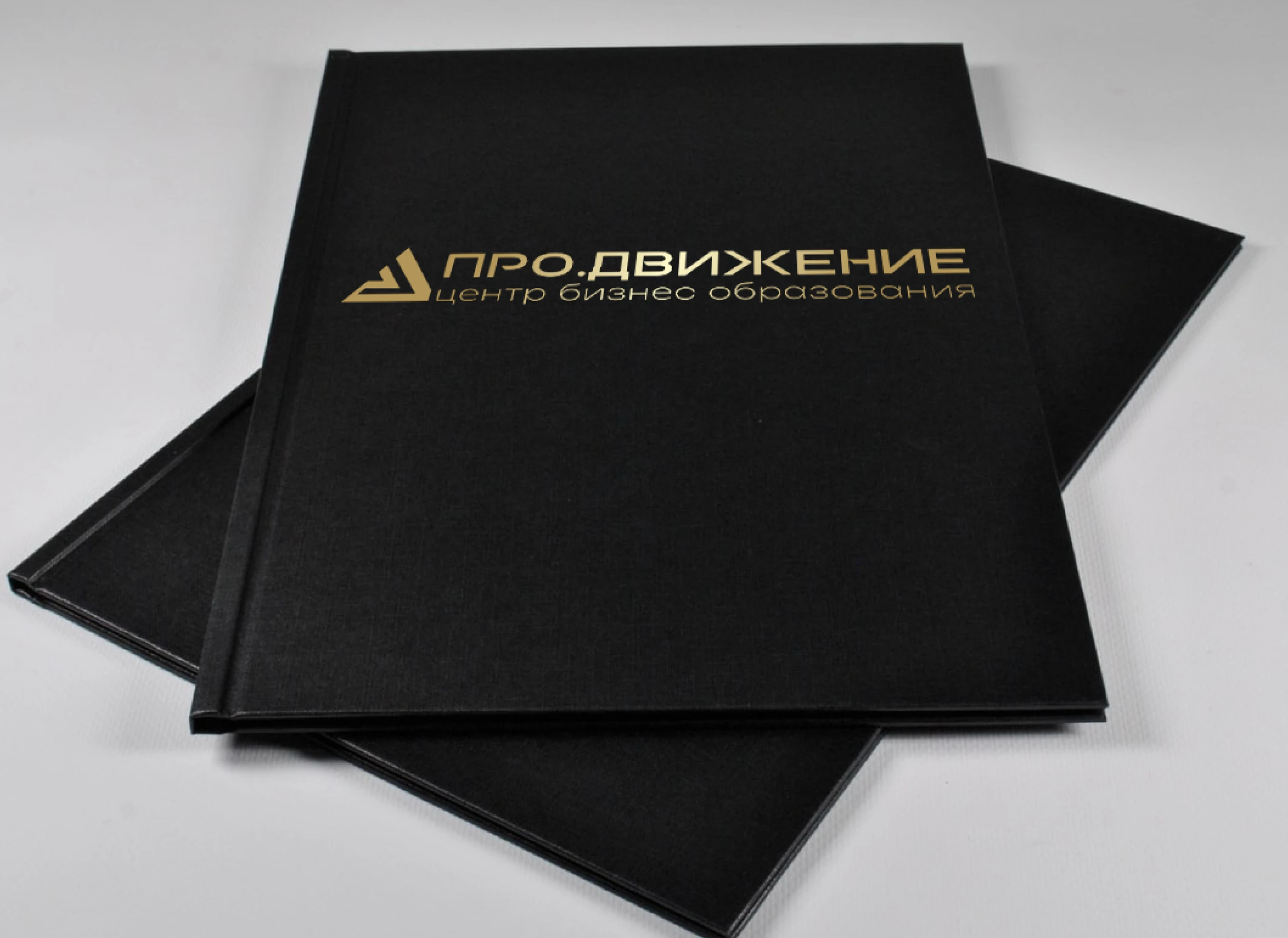 Разработка Айдентики для мероприятия — Изображение №11 — Брендинг, Маркетинг на Dprofile