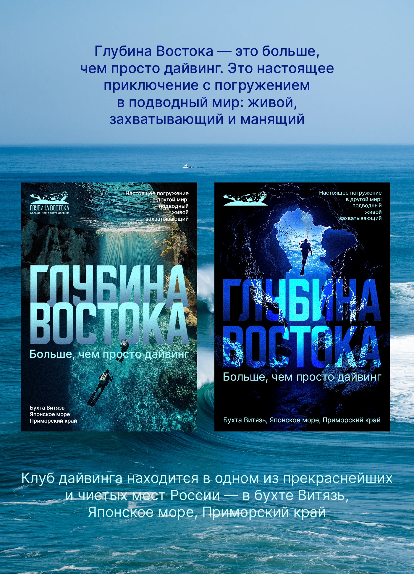 Логотип и фирменный стиль для школы дайвинга — Изображение №3 — Брендинг на Dprofile