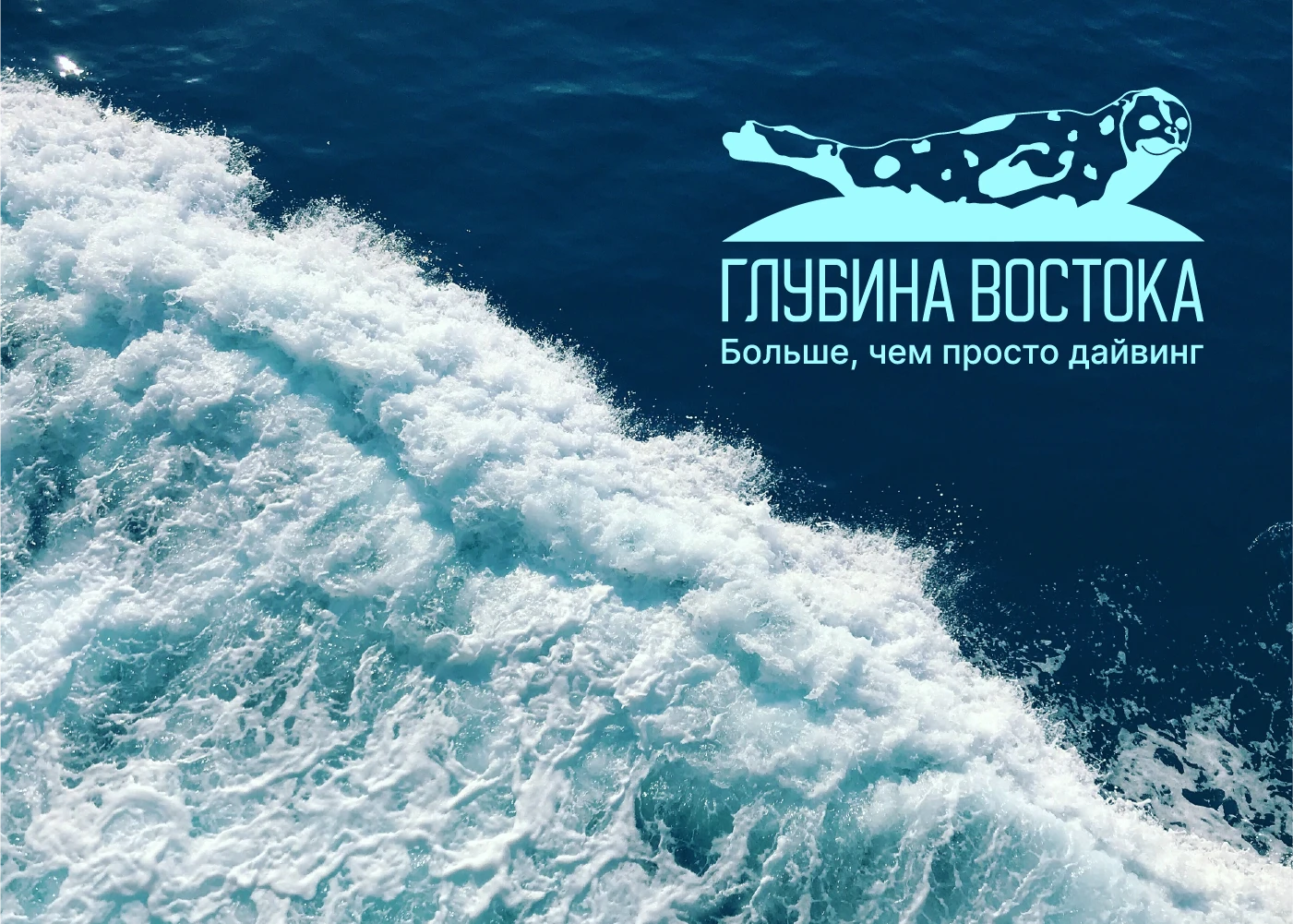 Логотип и фирменный стиль для школы дайвинга — Изображение №1 — Брендинг на Dprofile