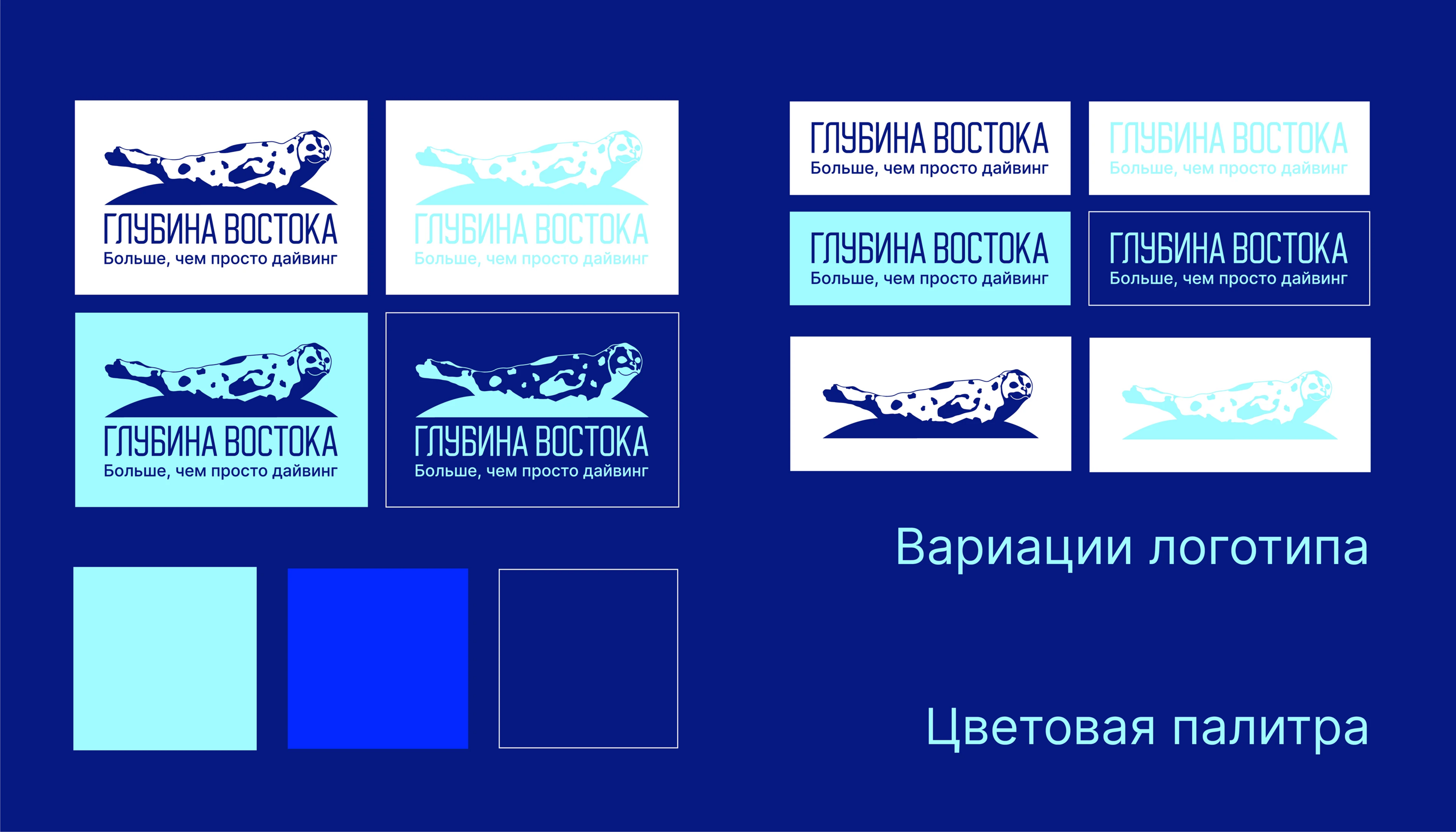 Логотип и фирменный стиль для школы дайвинга — Изображение №2 — Брендинг на Dprofile