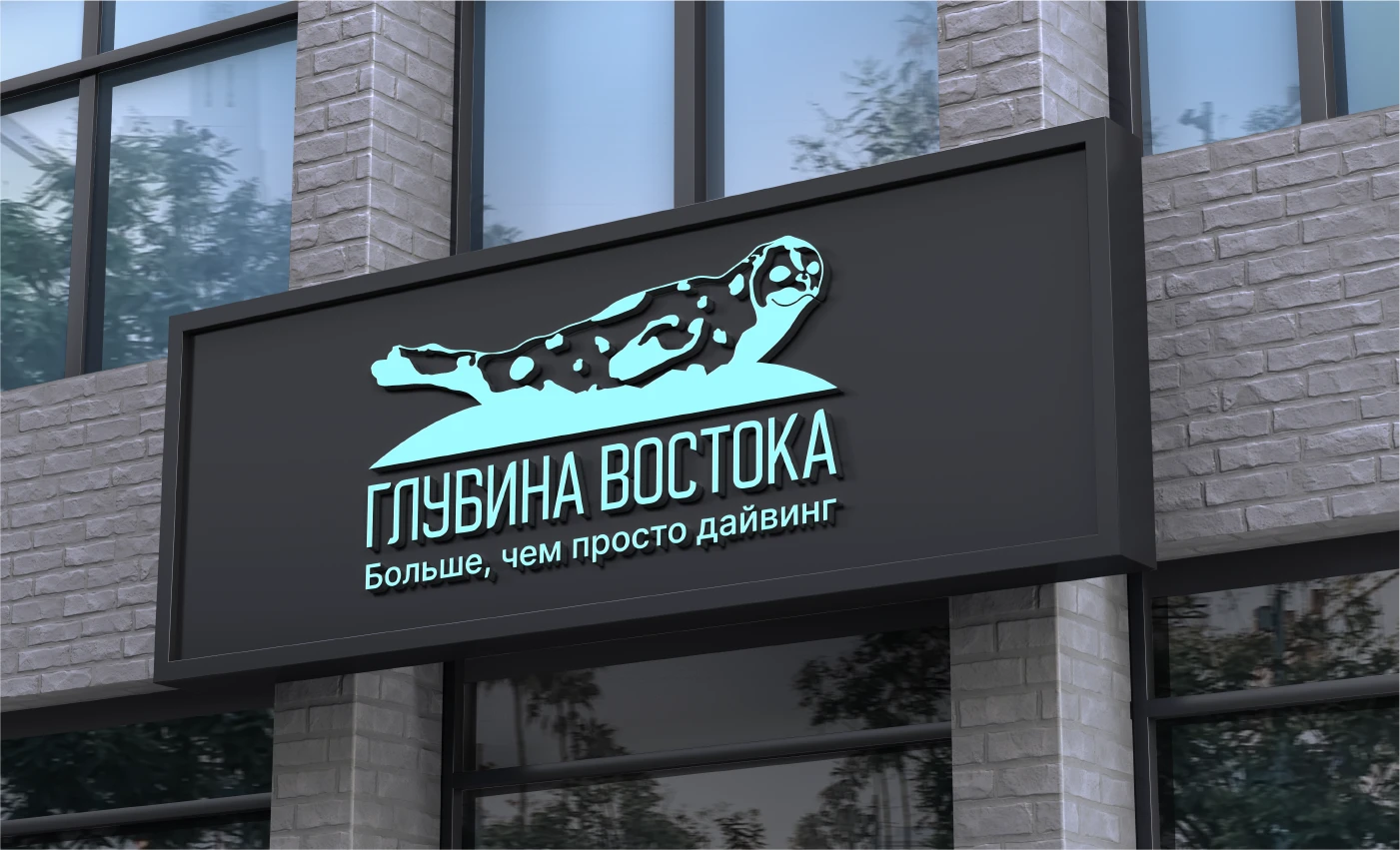 Логотип и фирменный стиль для школы дайвинга — Изображение №5 — Брендинг на Dprofile