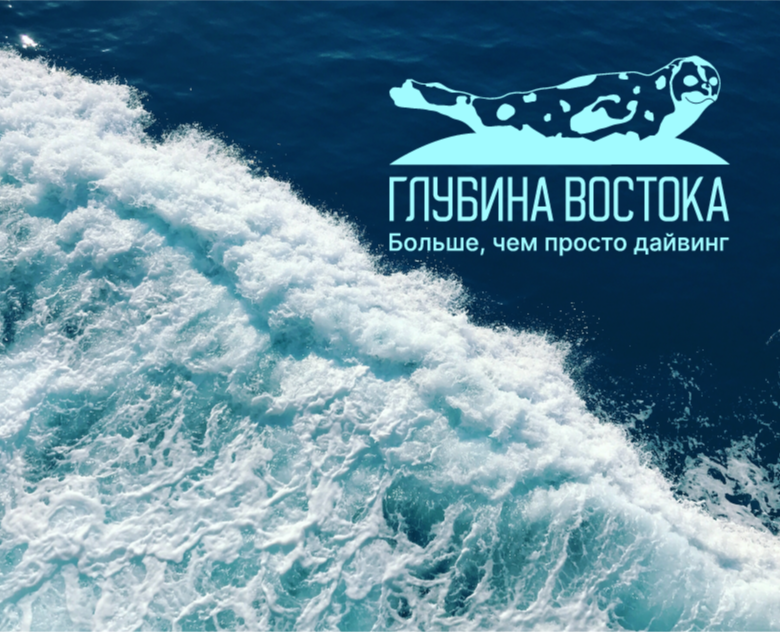 Логотип и фирменный стиль для школы дайвинга — Брендинг на Dprofile