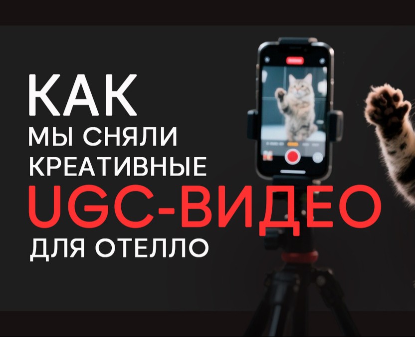 Кейс: опыт продвижения Отелло с помощью UGC-видео — Маркетинг на Dprofile