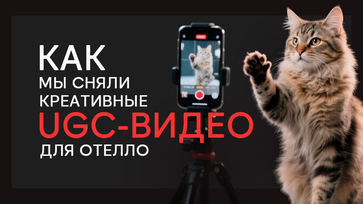 Кейс: опыт продвижения Отелло с помощью UGC-видео — Изображение №1 — Маркетинг на Dprofile