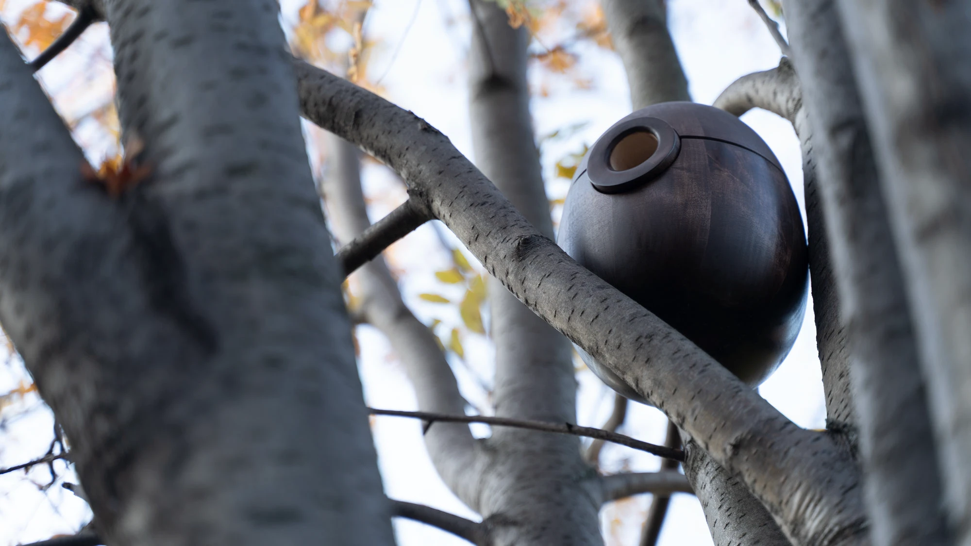 Domik Ptashki — Изображение №1 — Промдизайн на Dprofile