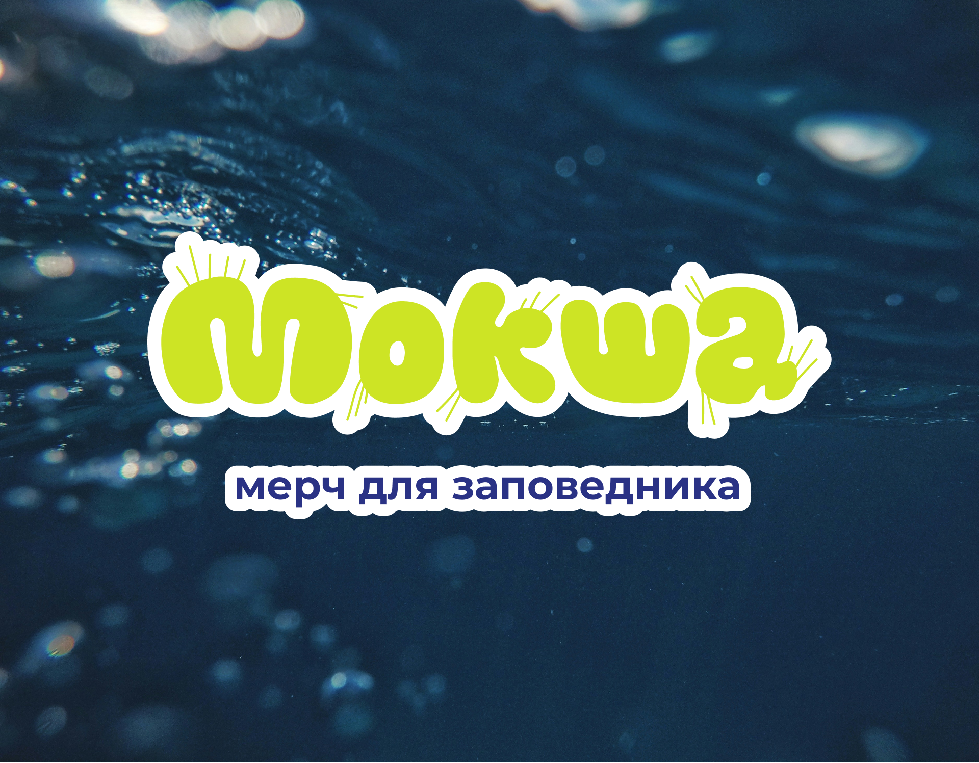 Мерч для заповедника "Мокша" — Изображение №1 — Брендинг на Dprofile