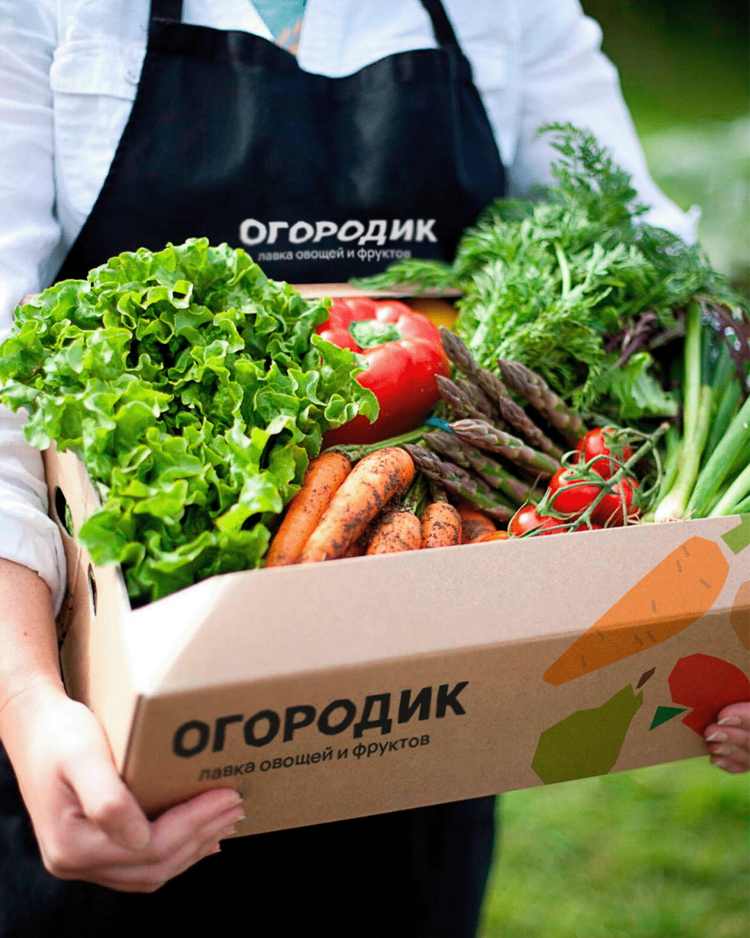 Айдентика для магазина овощей и фруктов — Изображение №8 — Брендинг, Графика на Dprofile