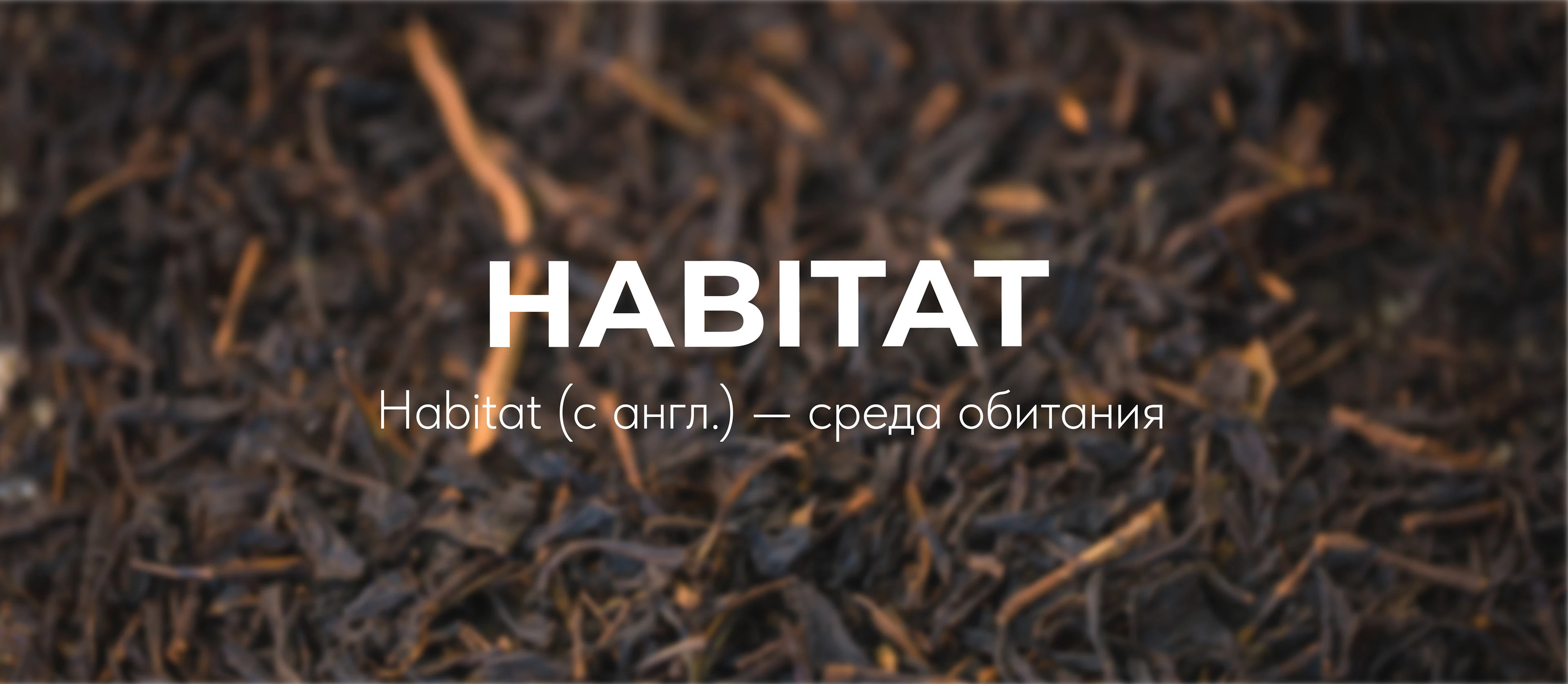 Дизайн-концепция торговой марки чая — Изображение №4 — Брендинг, Иллюстрация на Dprofile