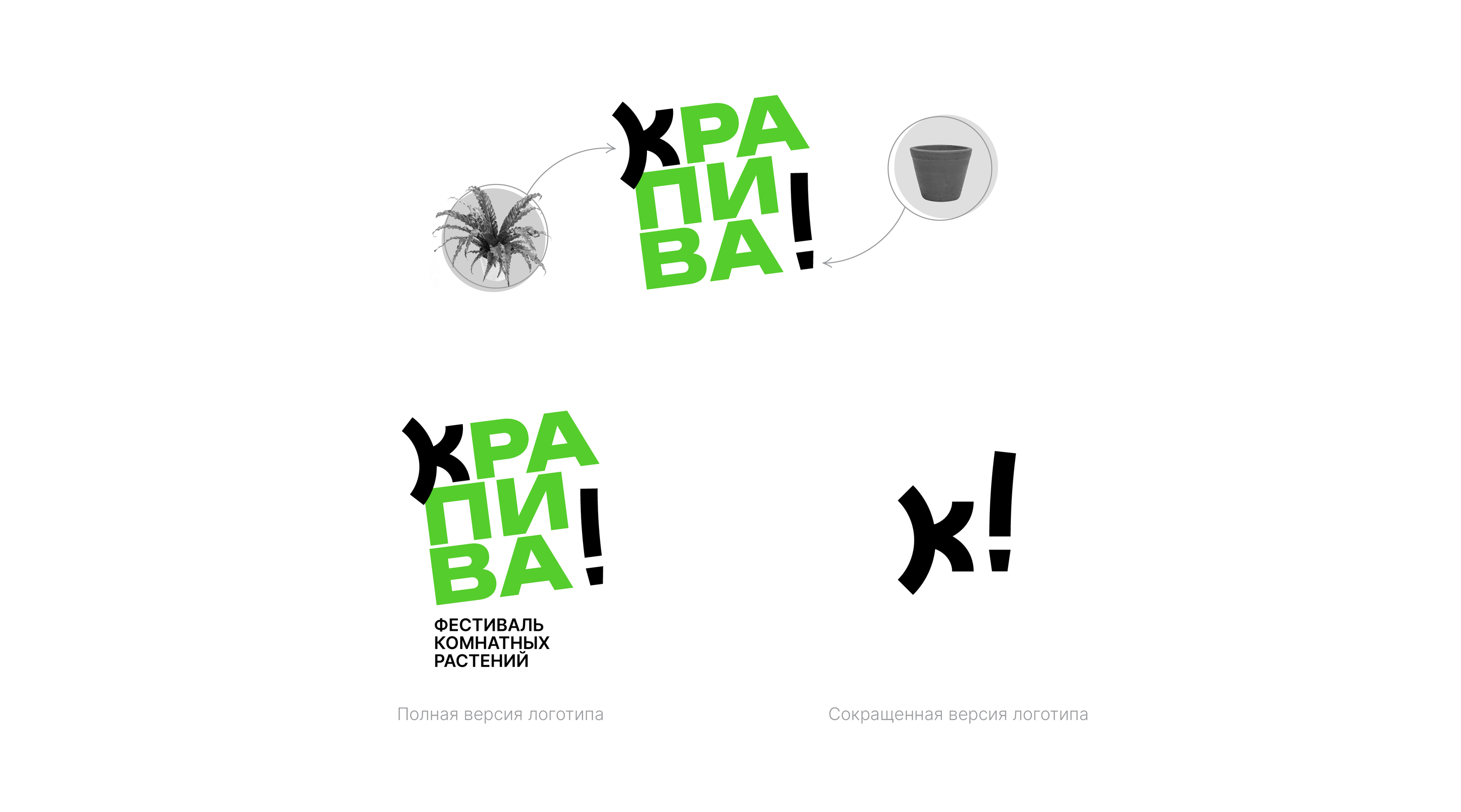 Брендинг для фестиваля комнатных растений — Изображение №2 — Брендинг на Dprofile