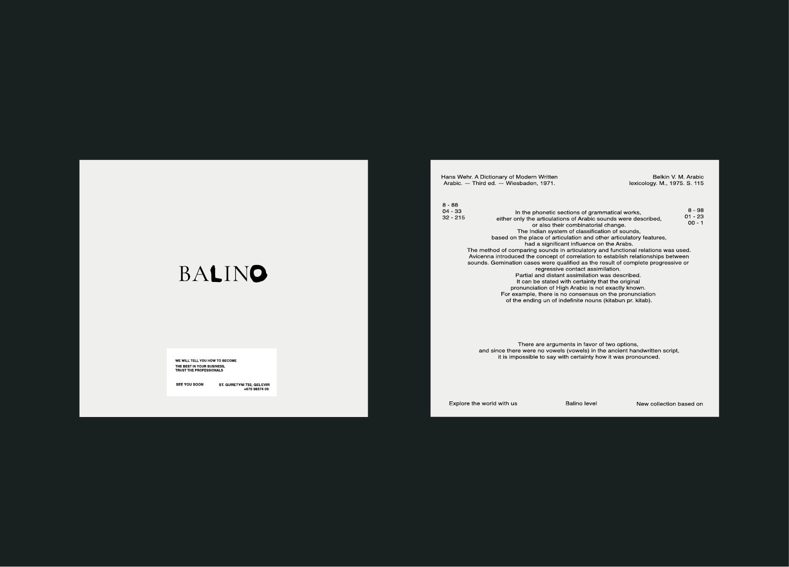 Фирменный стиль бренда обуви | BALINO — Изображение №12 — Брендинг, Маркетинг на Dprofile