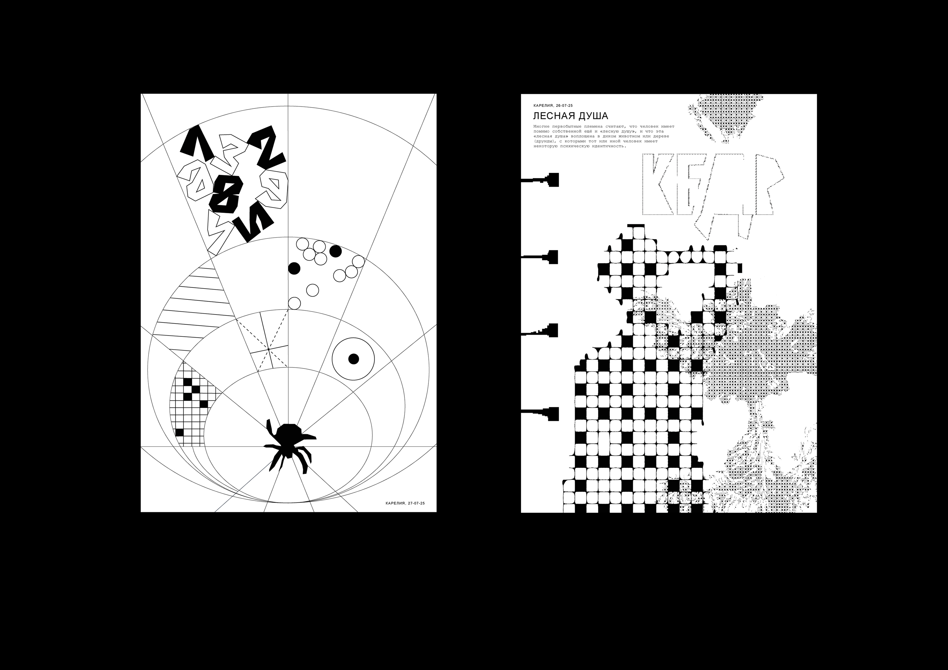 Карельский зин — Изображение №11 — Графика на Dprofile