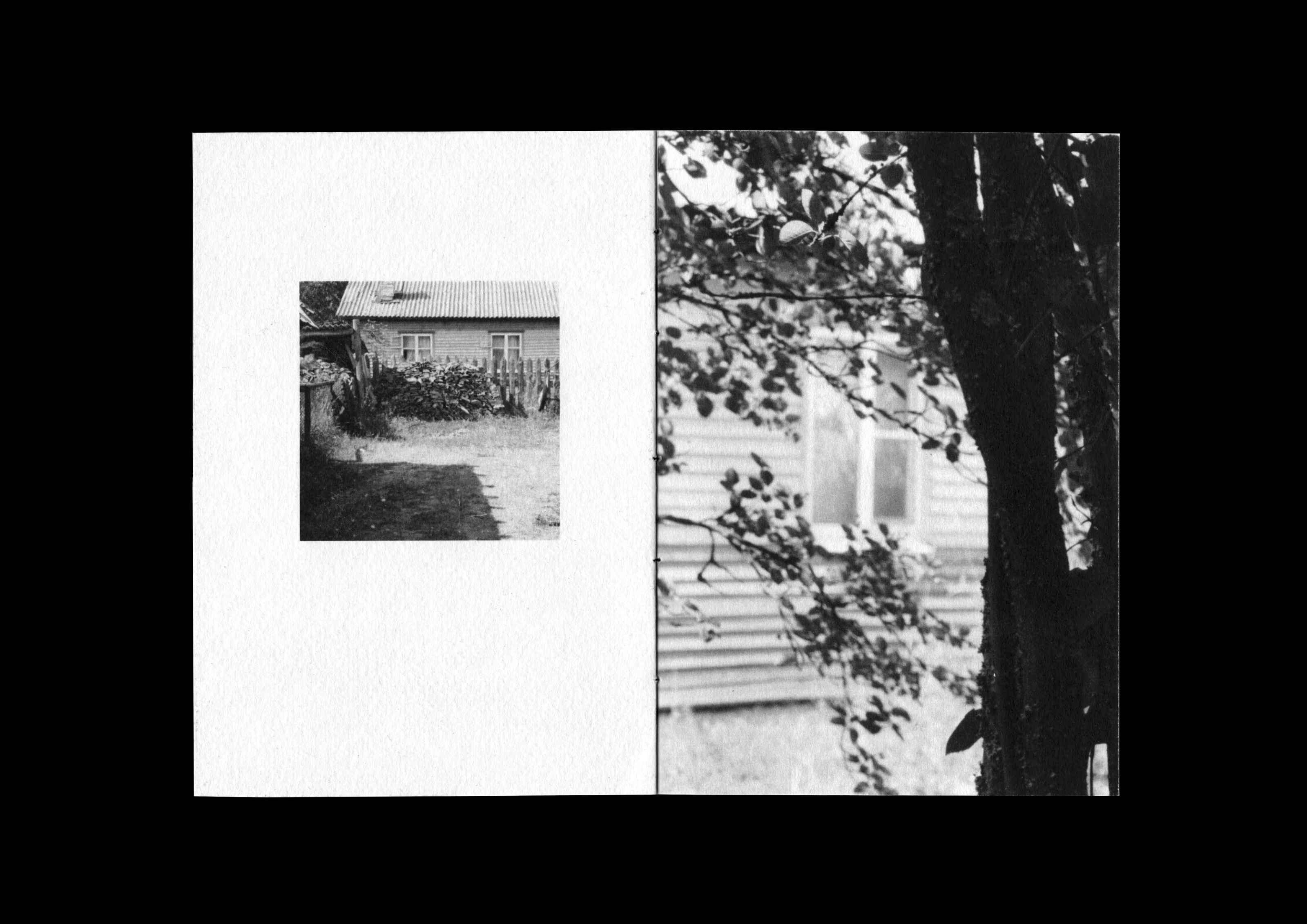 Карельский зин — Изображение №6 — Графика на Dprofile