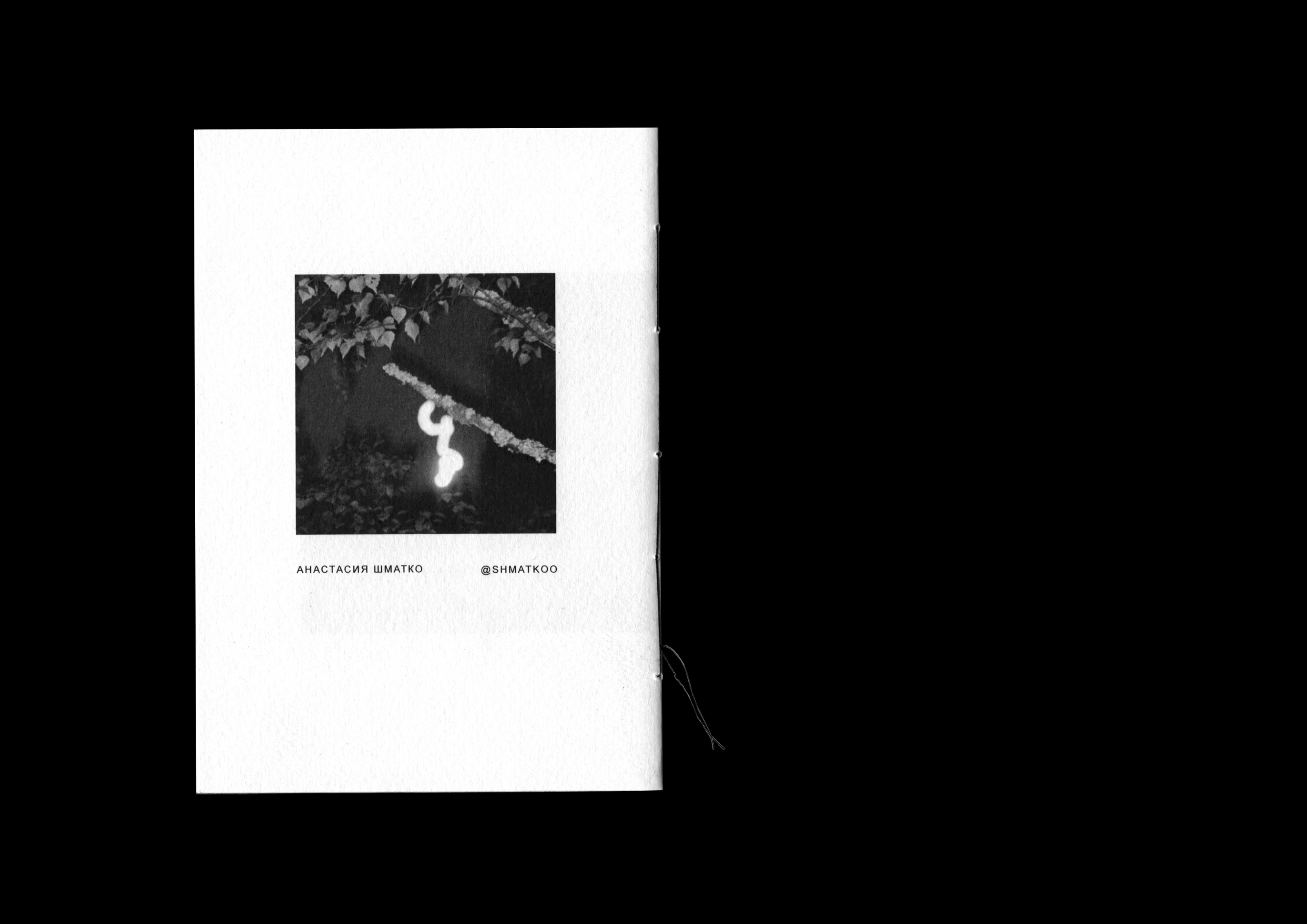 Карельский зин — Изображение №9 — Графика на Dprofile