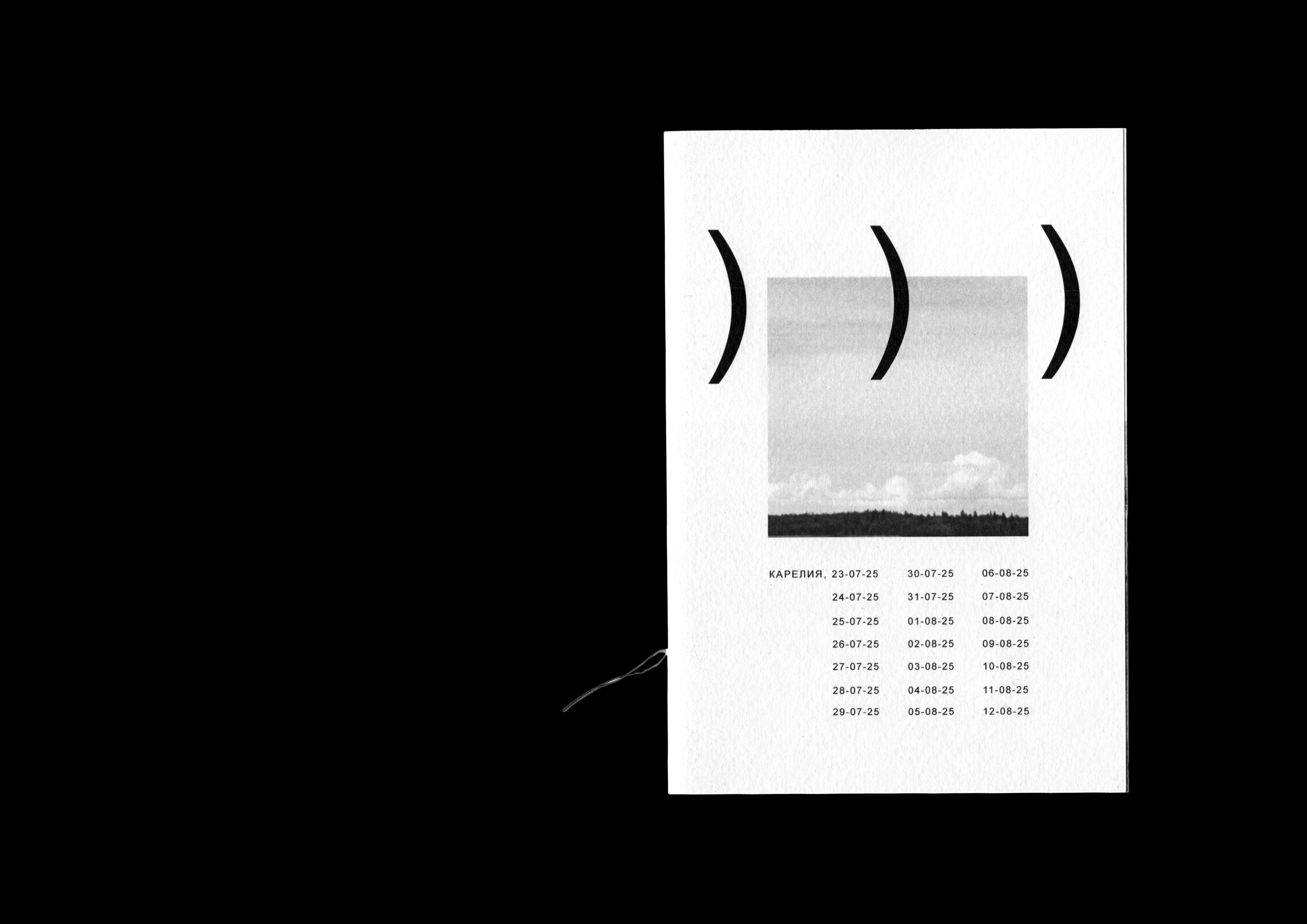 Карельский зин — Изображение №1 — Графика на Dprofile