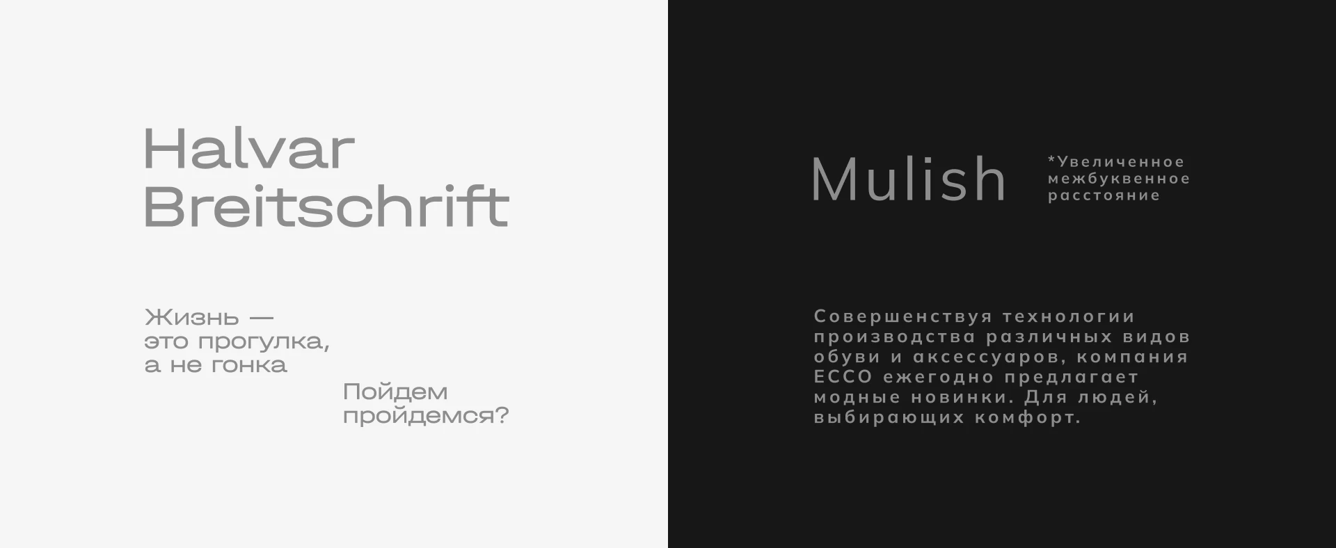 Концепция айдентики | ECCO — Изображение №2 — Брендинг, Графика на Dprofile