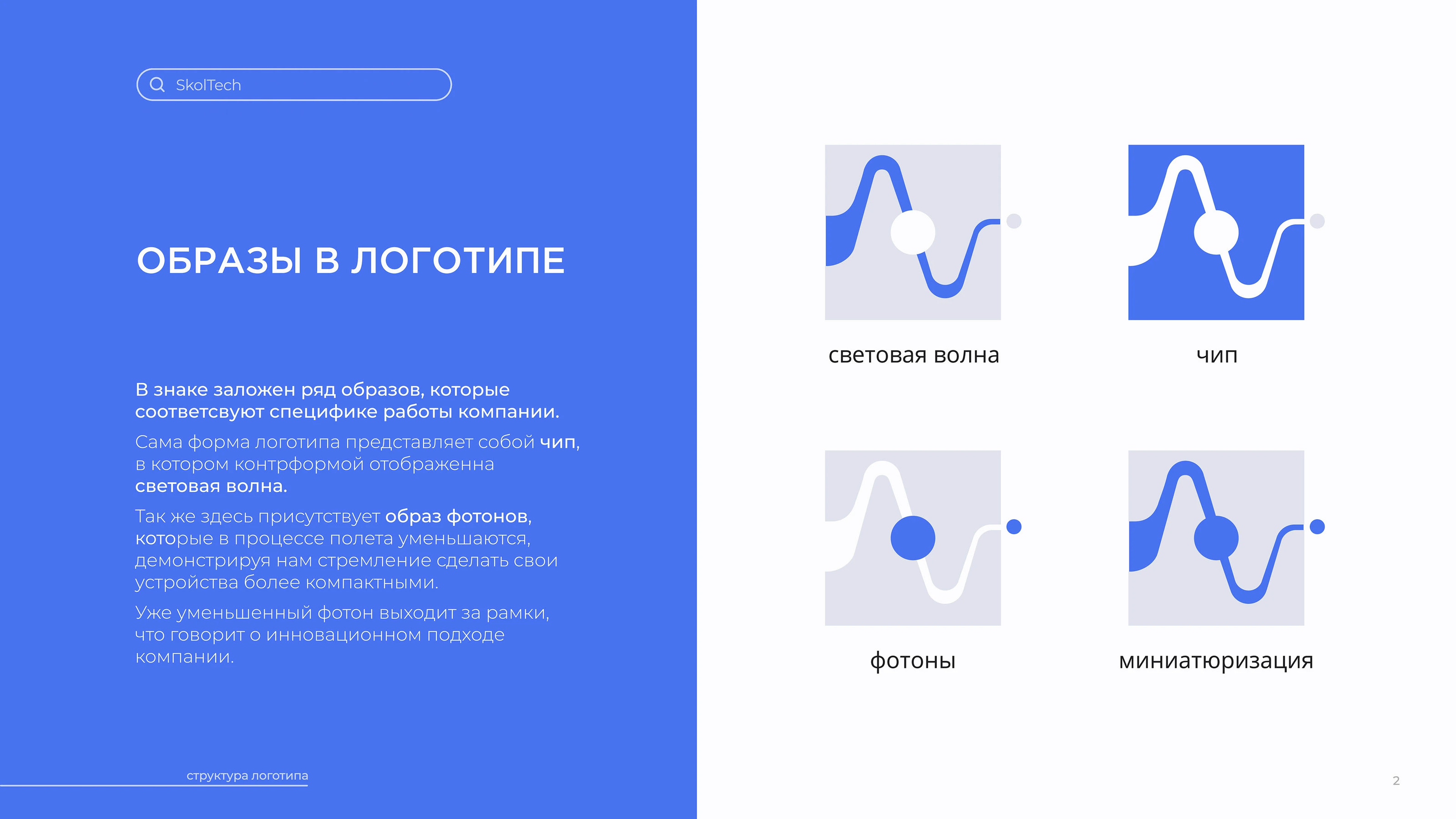 Skoltech PIRG | Logobook — Изображение №5 — Брендинг на Dprofile