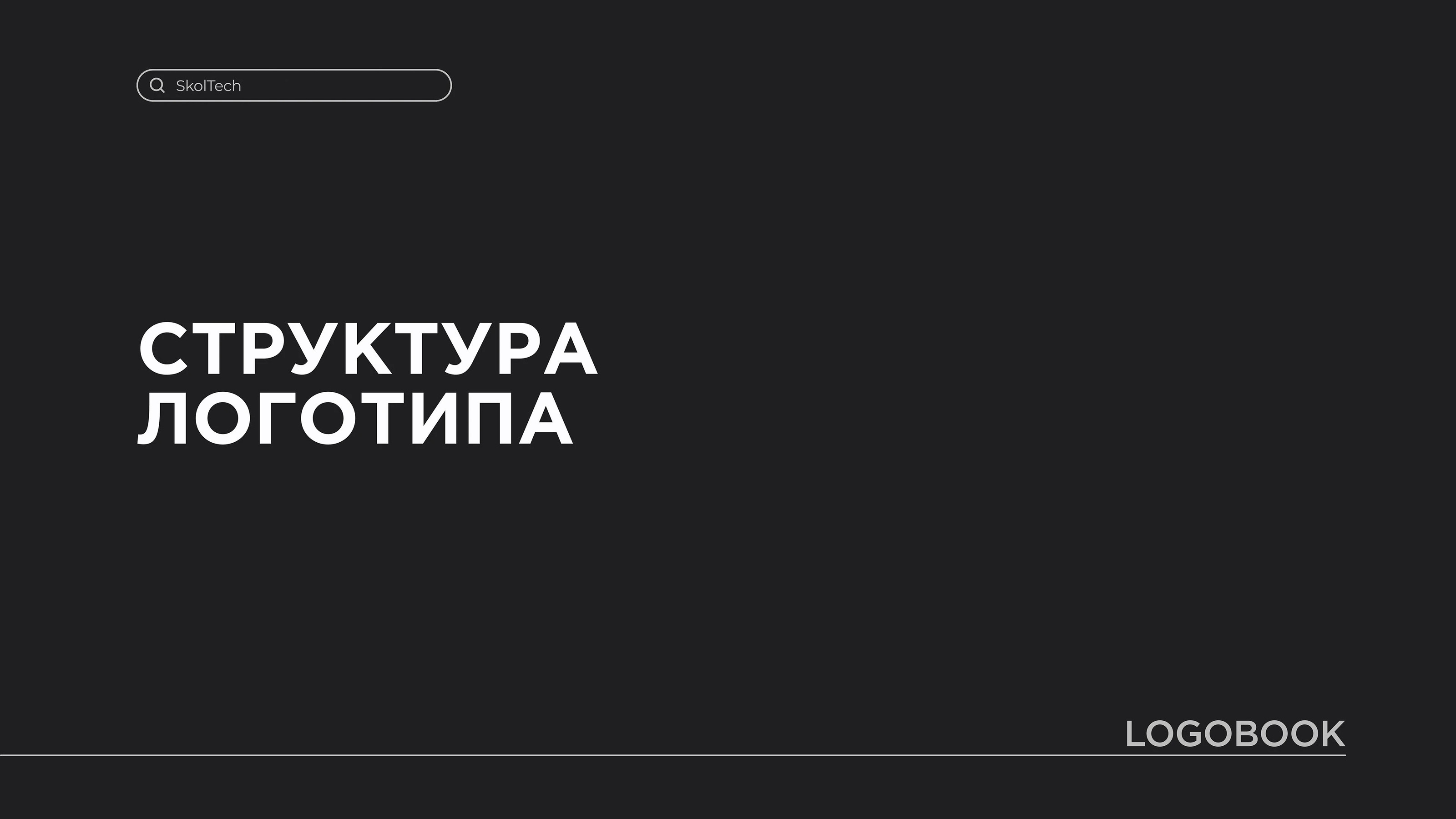 Skoltech PIRG | Logobook — Изображение №3 — Брендинг на Dprofile