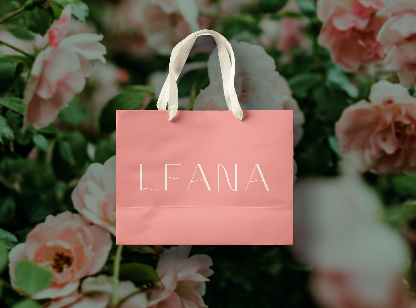 Leana Branding — Изображение №5 — Брендинг, Графика на Dprofile