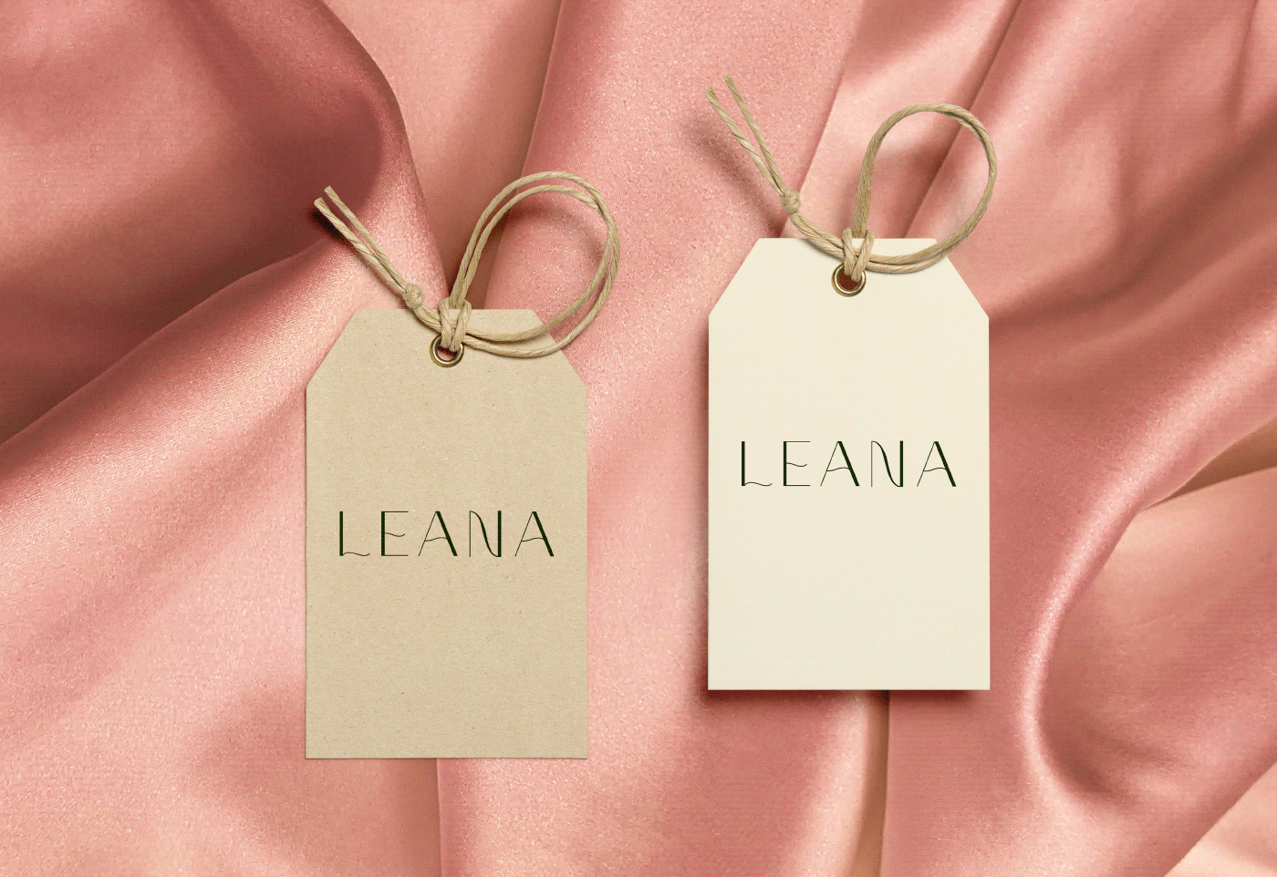 Leana Branding — Изображение №8 — Брендинг, Графика на Dprofile