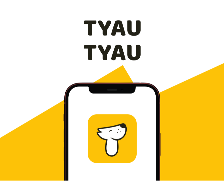 Tyau Tyau | Кроссплатформенное приложение на Dprofile