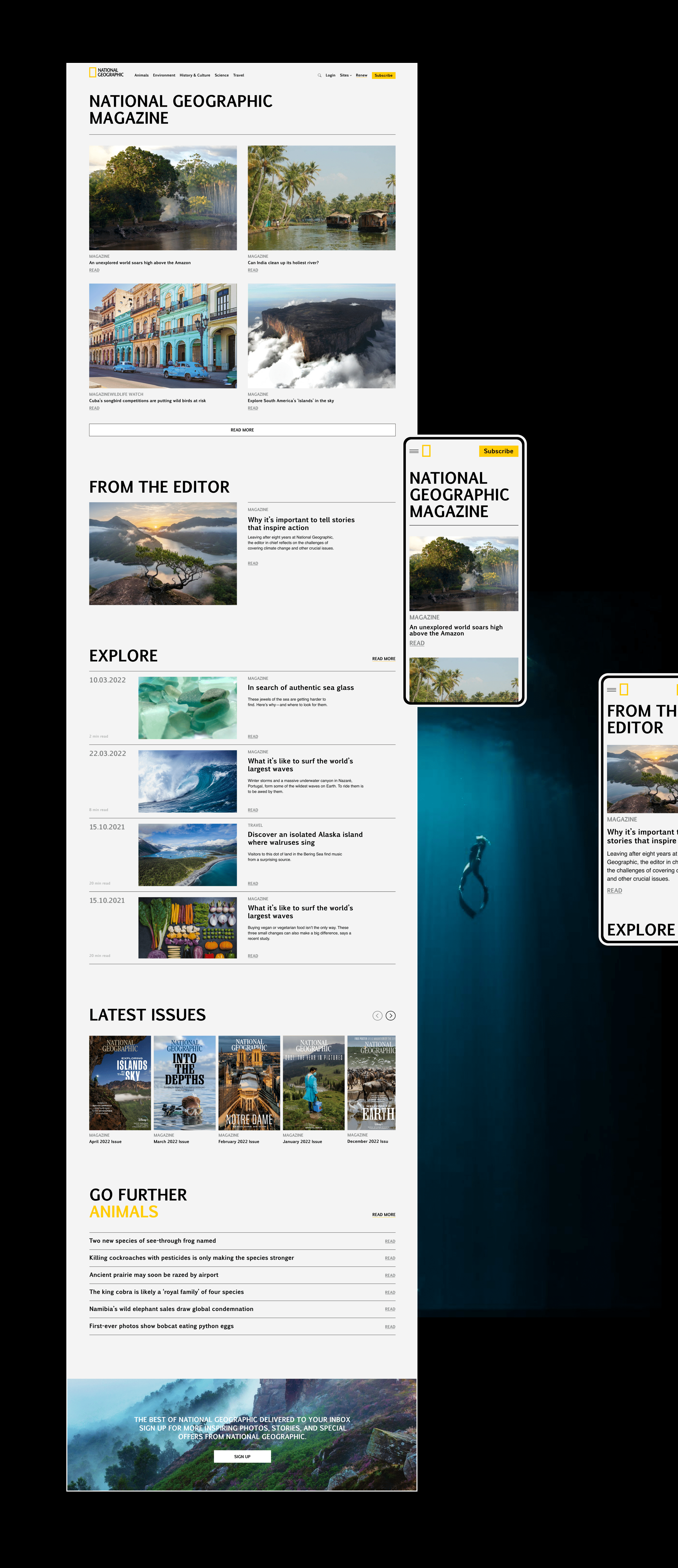 NATIONAL GEOGRAPHIC Redesign Concept News Vebsite — Изображение №3 — Интерфейсы, Иллюстрация на Dprofile