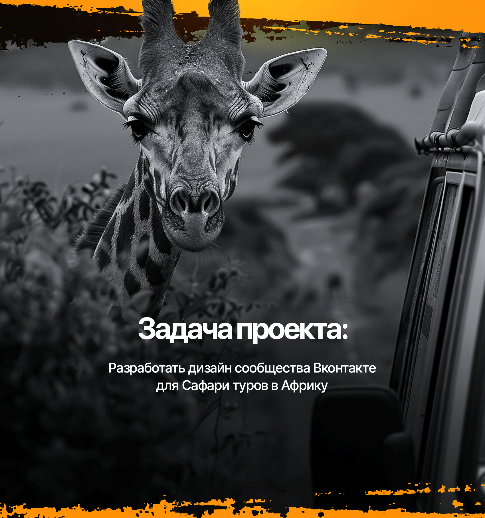 Дизайн сообщества Вконтакте (VK) | Сафари тур в Африку — Изображение №3 — Графика, Маркетинг на Dprofile