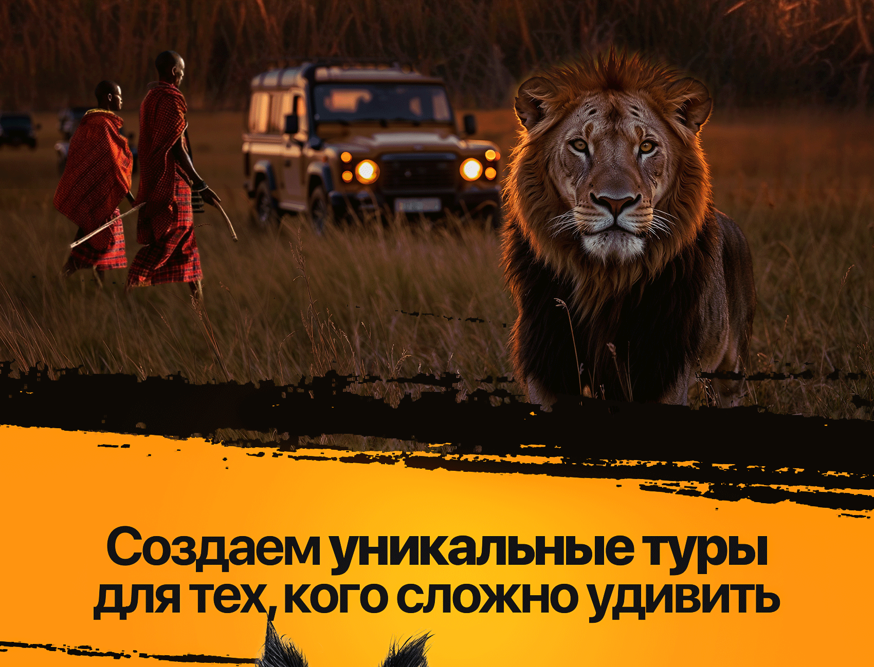 Дизайн сообщества Вконтакте (VK) | Сафари тур в Африку — Изображение №2 — Графика, Маркетинг на Dprofile