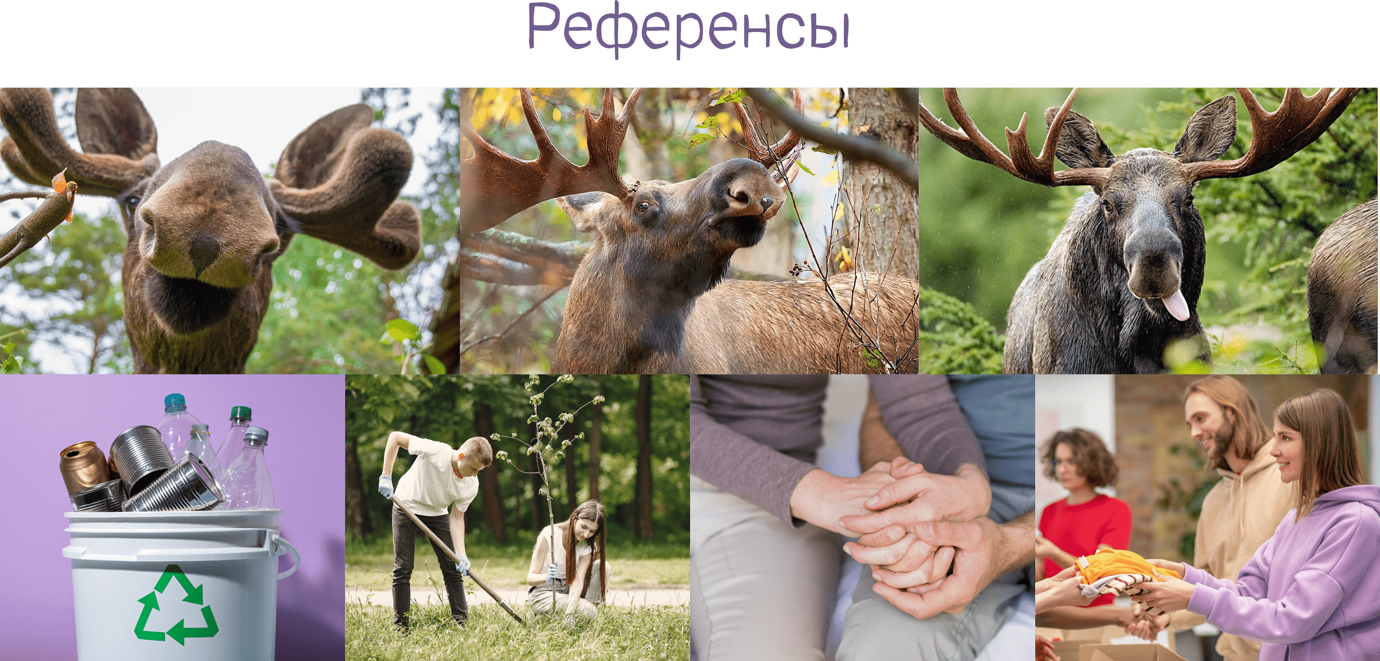 Стикерпак для волонтёров "ДоброЛось" — Изображение №2 — Иллюстрация на Dprofile