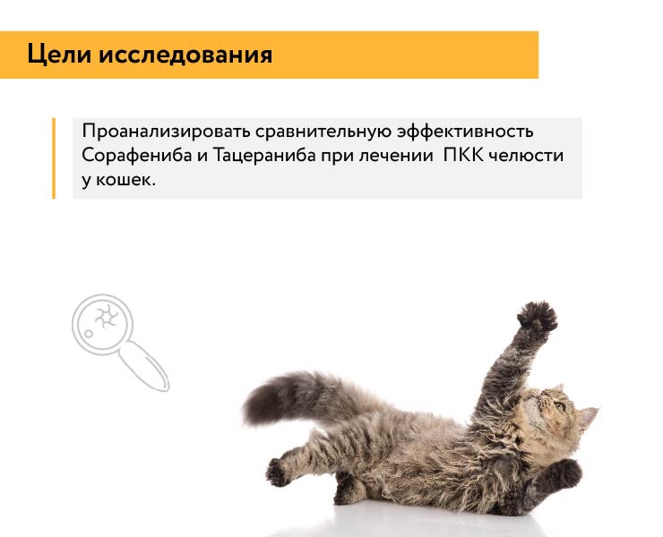 Palladia VS Сорафениб — Графика, Маркетинг на Dprofile