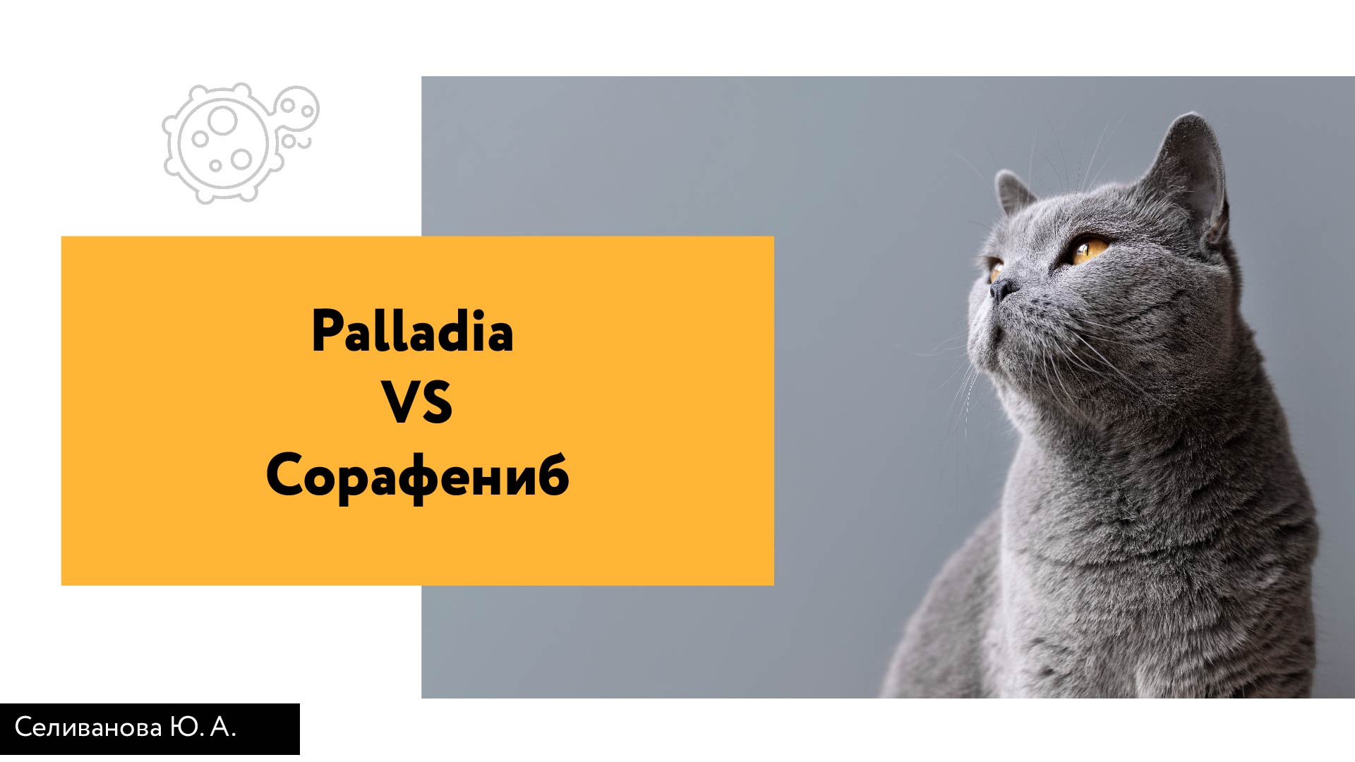 Palladia VS Сорафениб — Изображение №1 — Графика, Маркетинг на Dprofile
