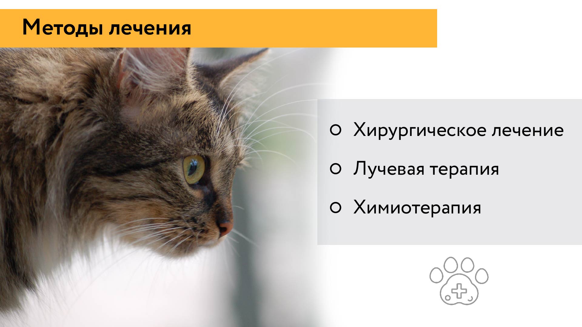 Palladia VS Сорафениб — Изображение №5 — Графика, Маркетинг на Dprofile