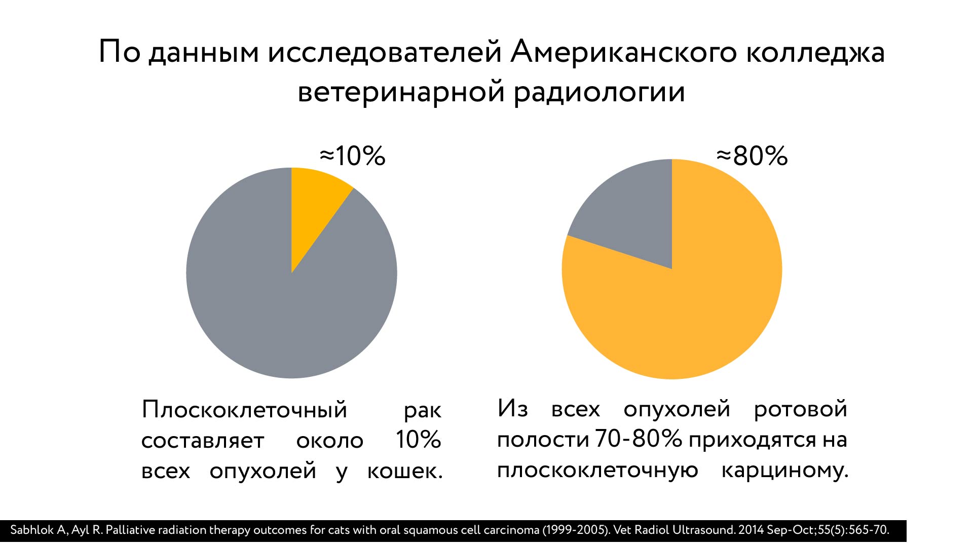 Palladia VS Сорафениб — Изображение №4 — Графика, Маркетинг на Dprofile