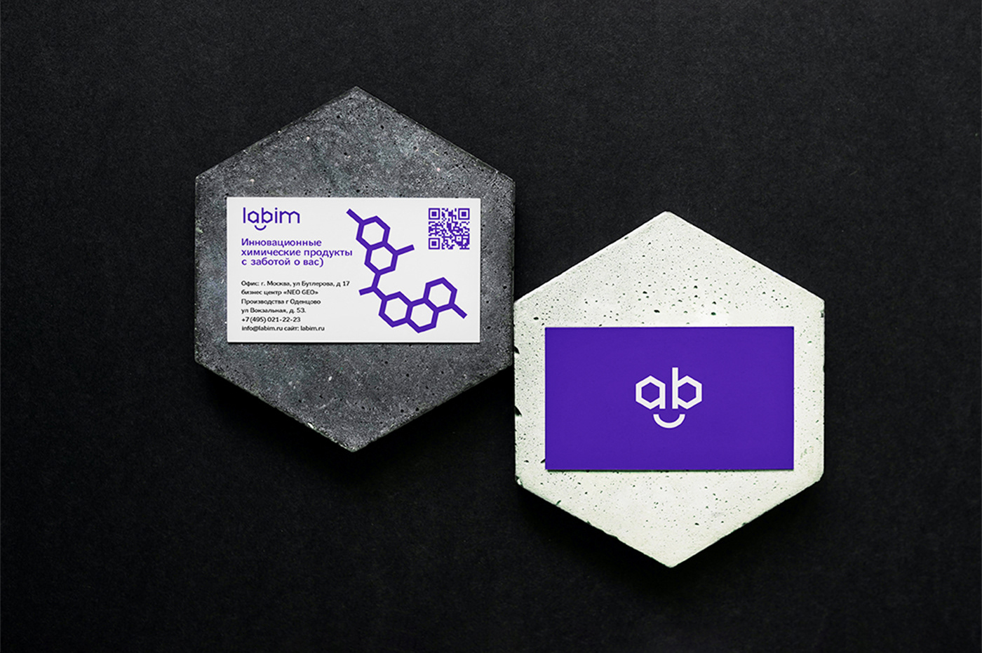 branding labim — Изображение №4 — Брендинг, Графика на Dprofile