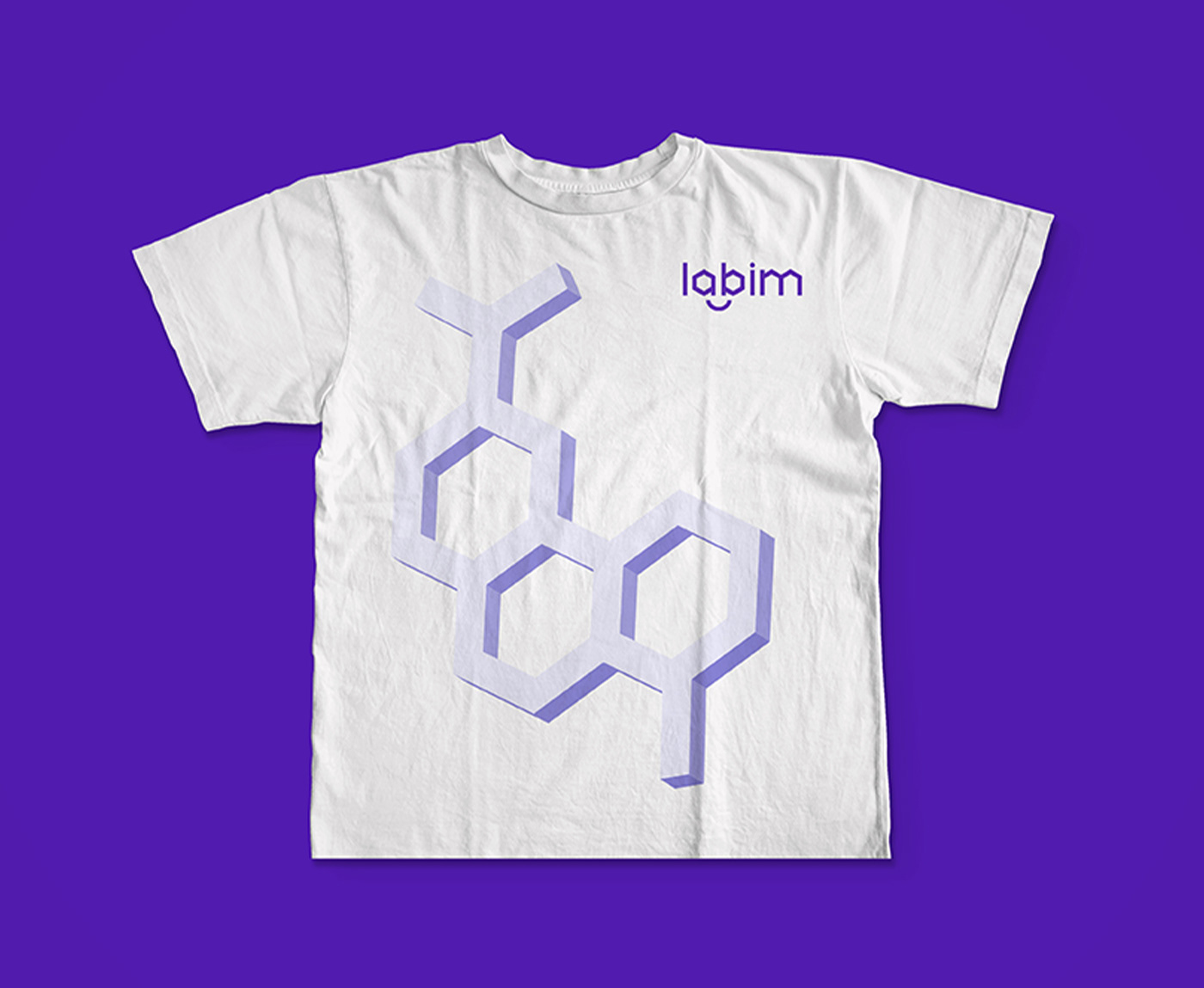 branding labim — Изображение №11 — Брендинг, Графика на Dprofile