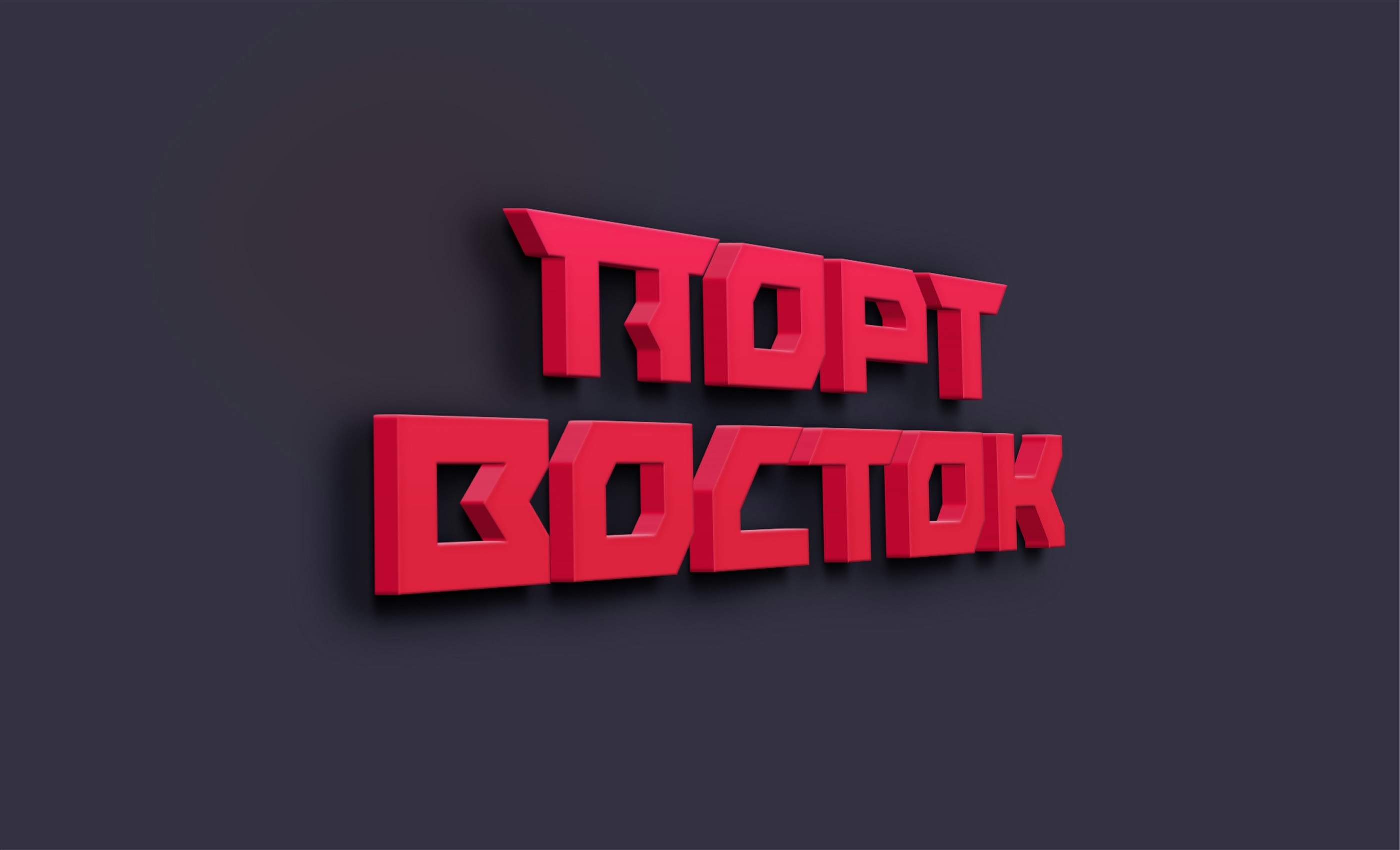 PORT VOSTOK branding — Изображение №15 — Брендинг, Графика на Dprofile