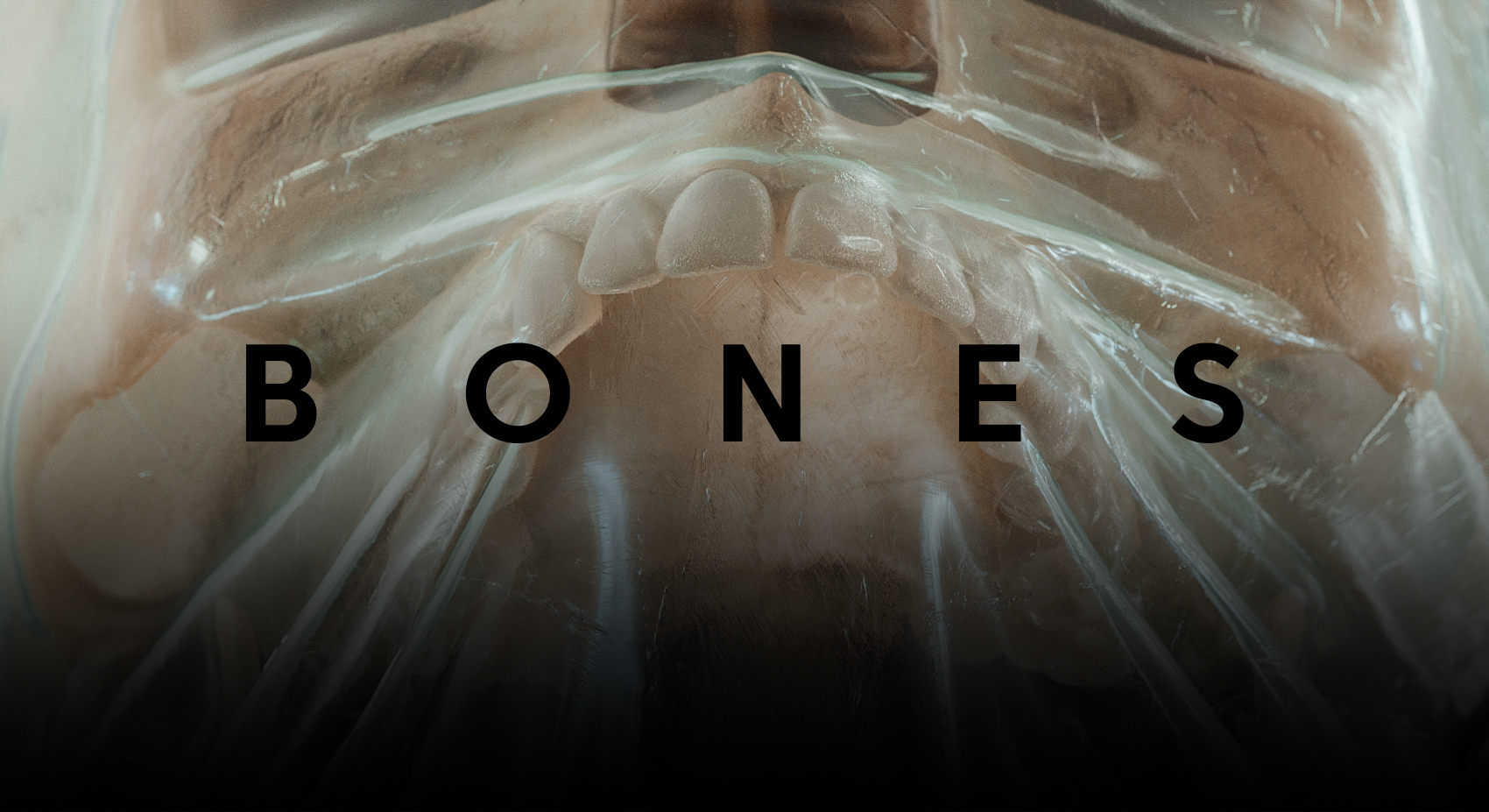 ◉BONES◉ — Изображение №1 — Иллюстрация, 3D на Dprofile