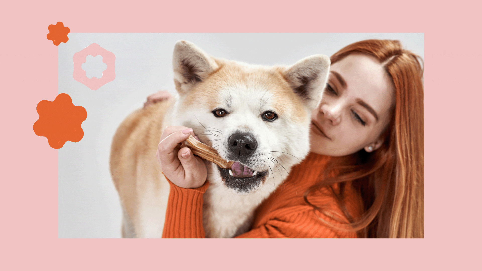 PAWISSIMO  - бренд уходовой косметики для домашних животных — Изображение №4 — Брендинг, Анимация на Dprofile