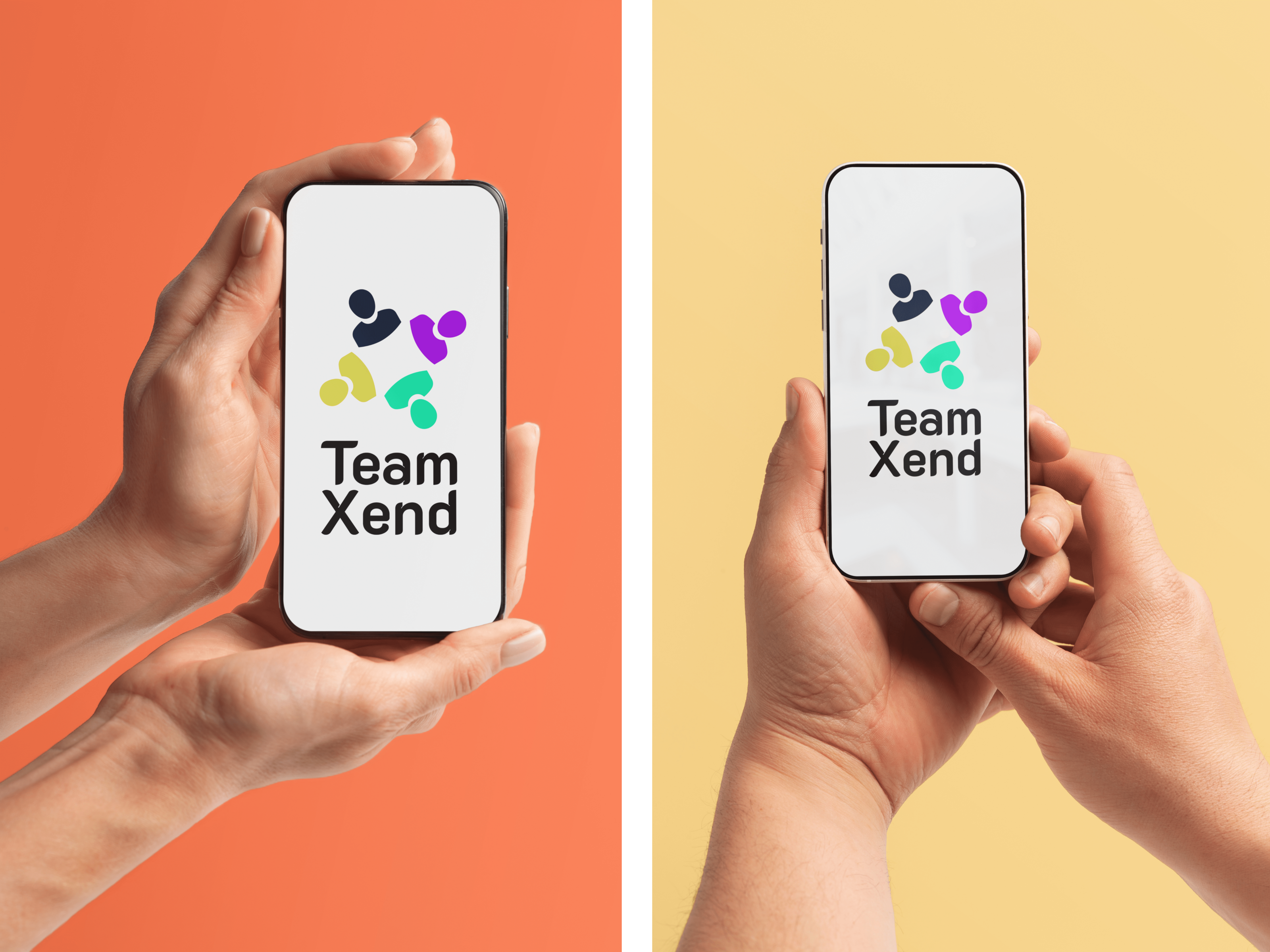 Logo TeamXend — Изображение №2 — Интерфейсы, Брендинг на Dprofile