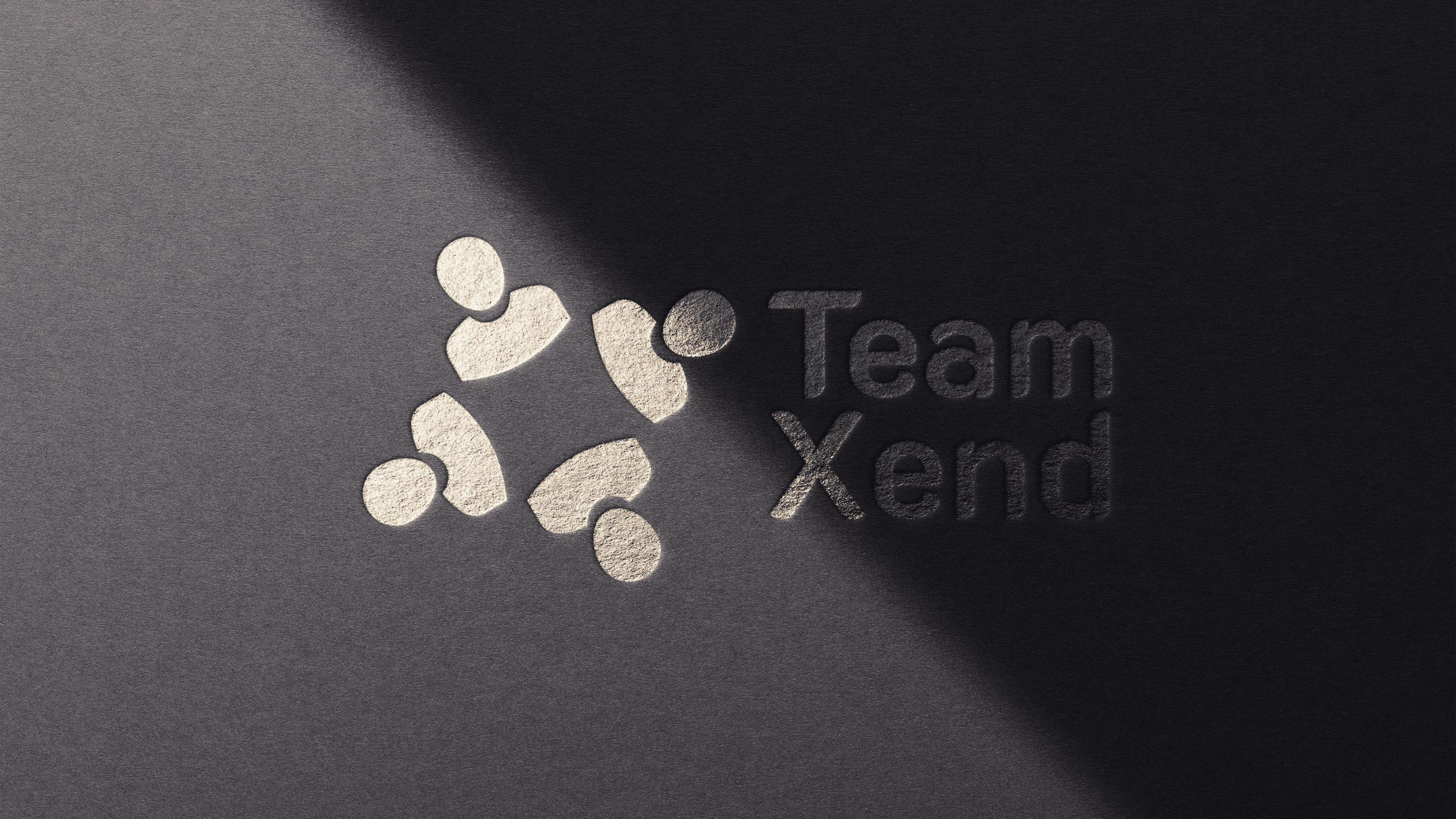 Logo TeamXend — Изображение №1 — Интерфейсы, Брендинг на Dprofile